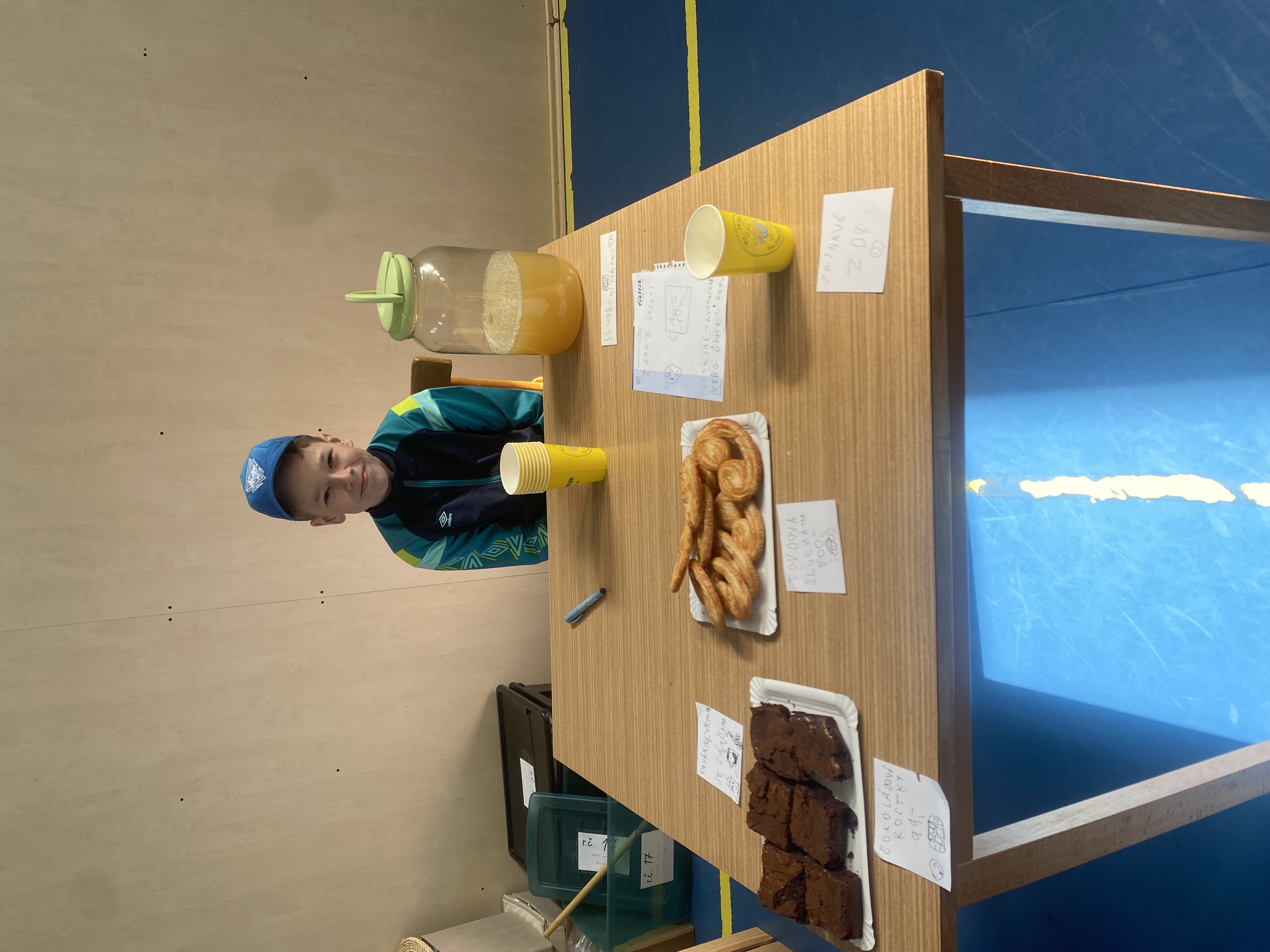 Tělocvičná jednota Sokol Němčice foto 4