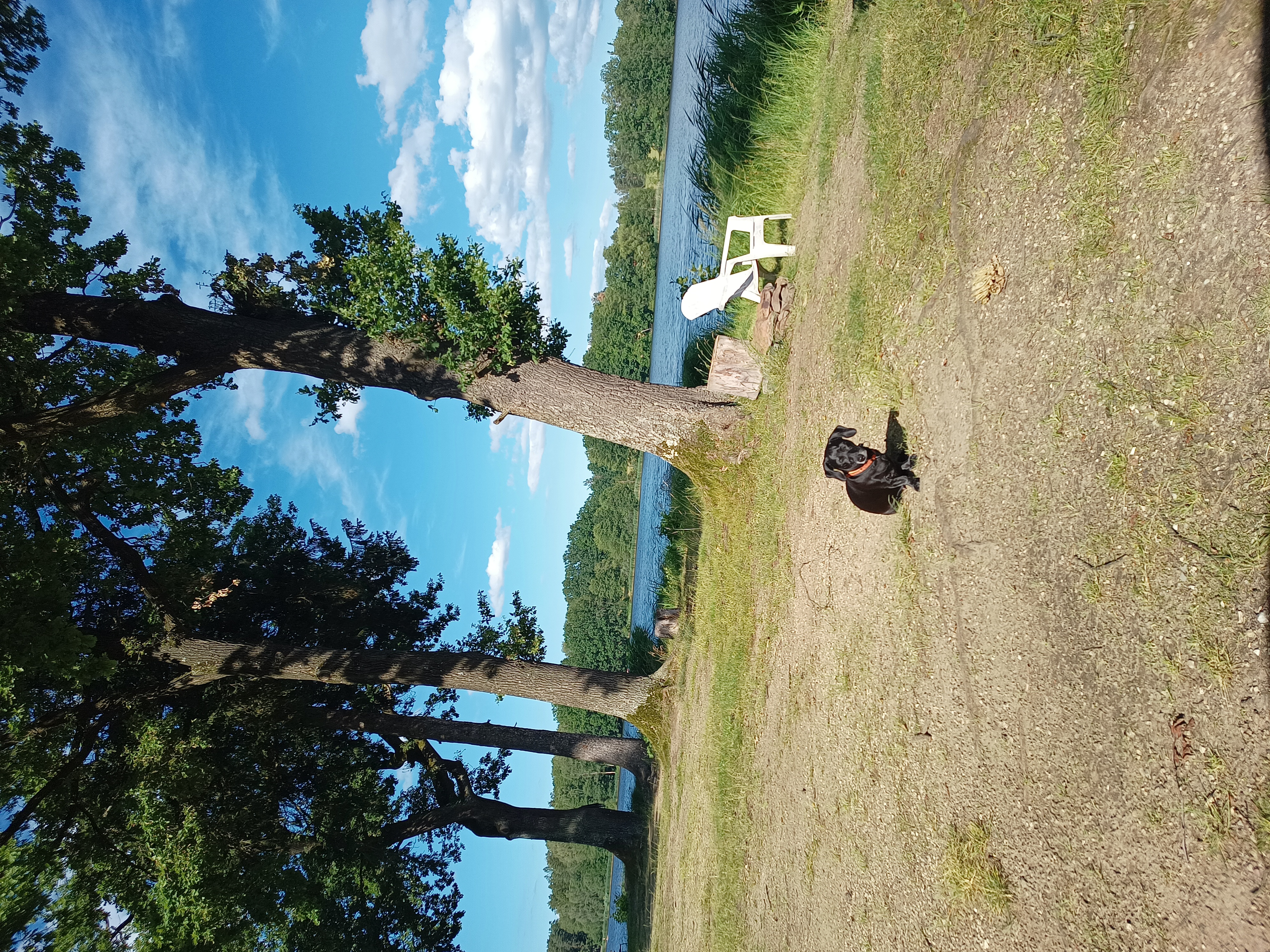 Camping Sever foto 4