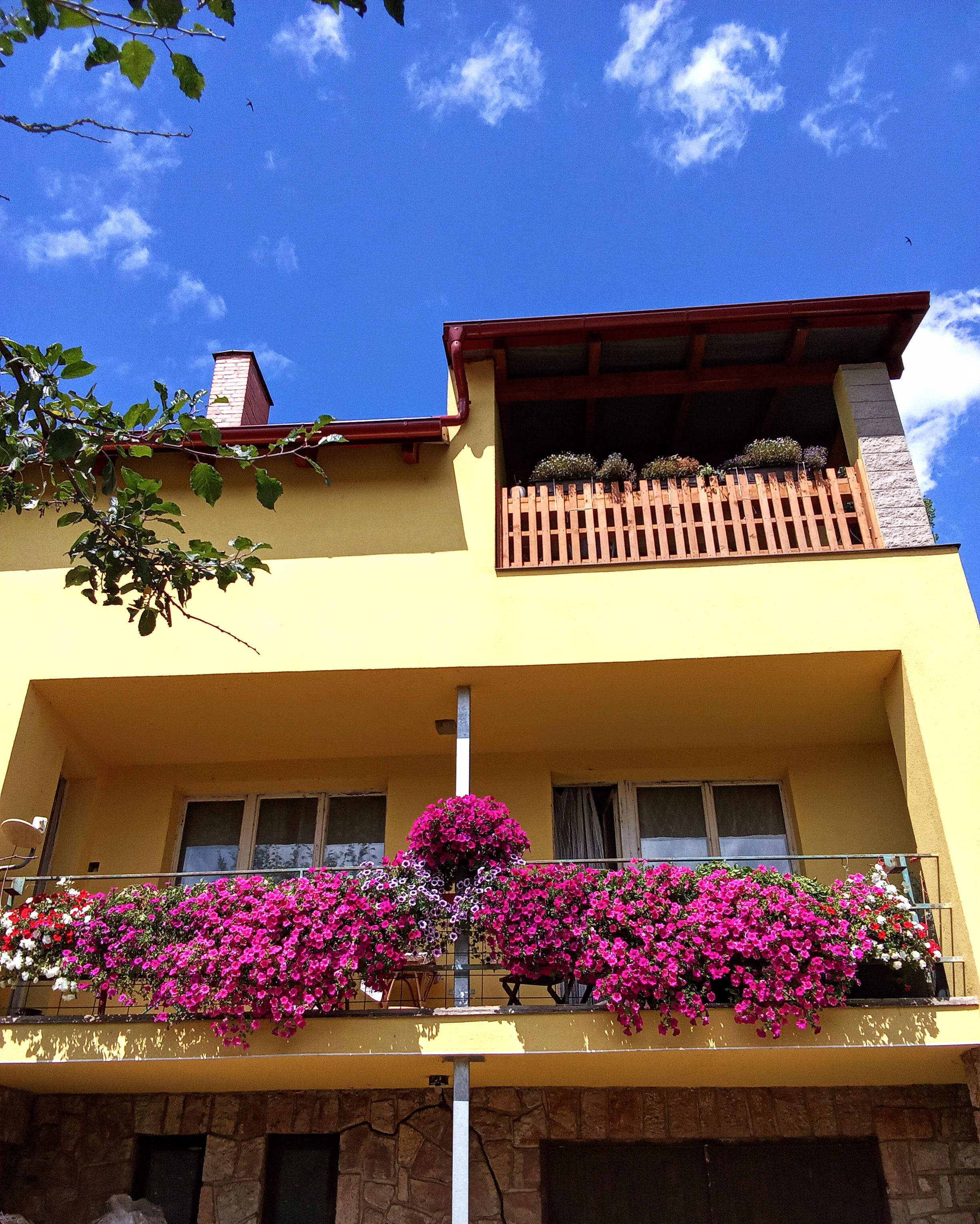 Rodinná farma Kratochvíl, s.r.o. foto 2