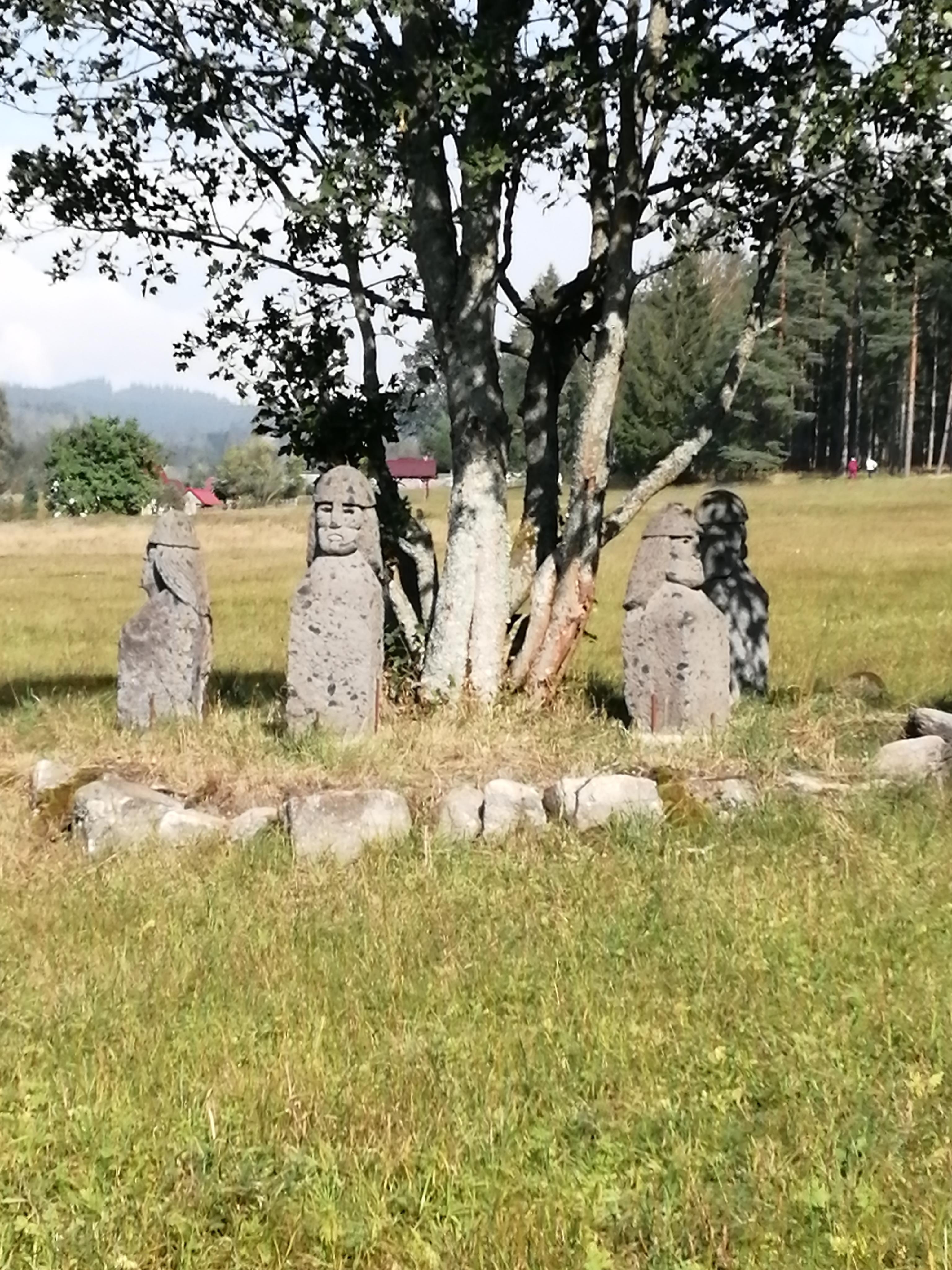 Farmička Modřínka foto 5