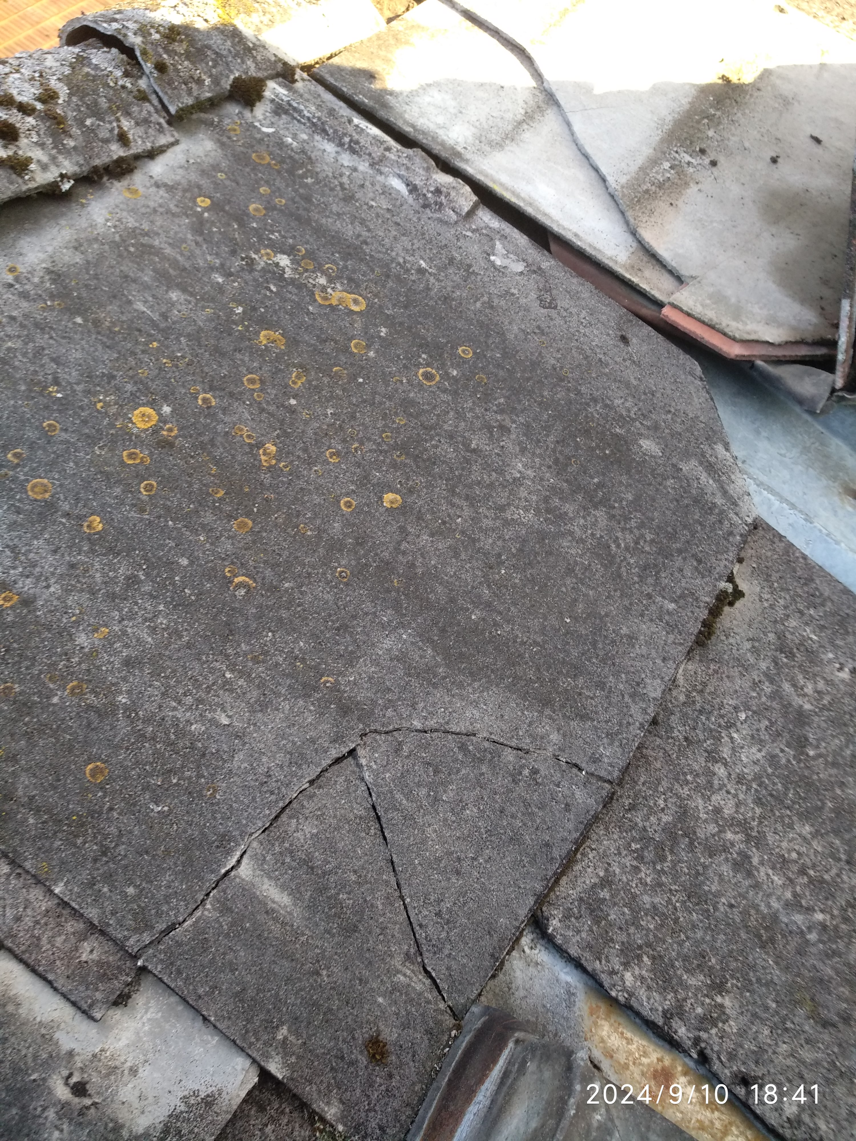 Zdeněk Chytil foto 4