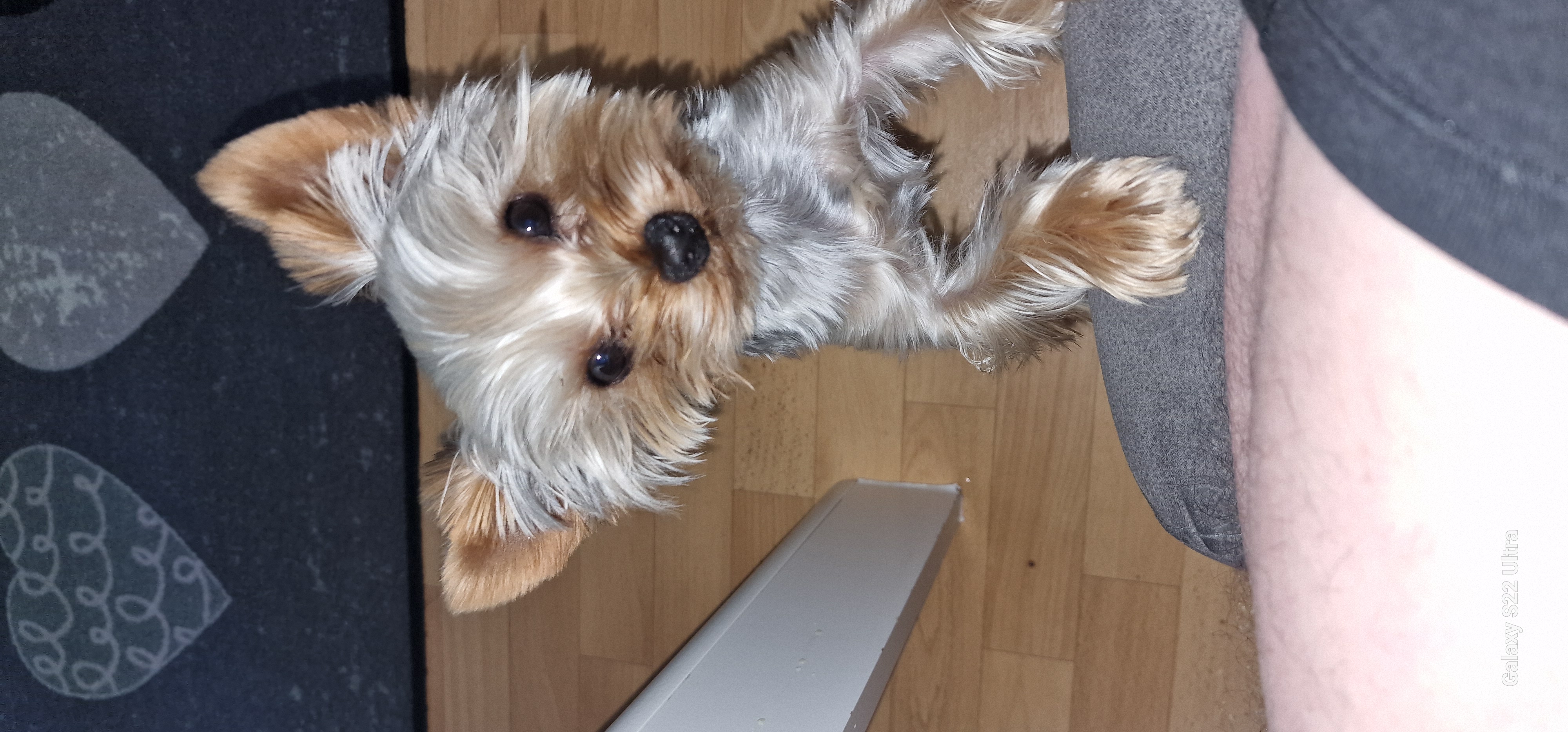 Veterinární klinika Mi-Vet foto 5