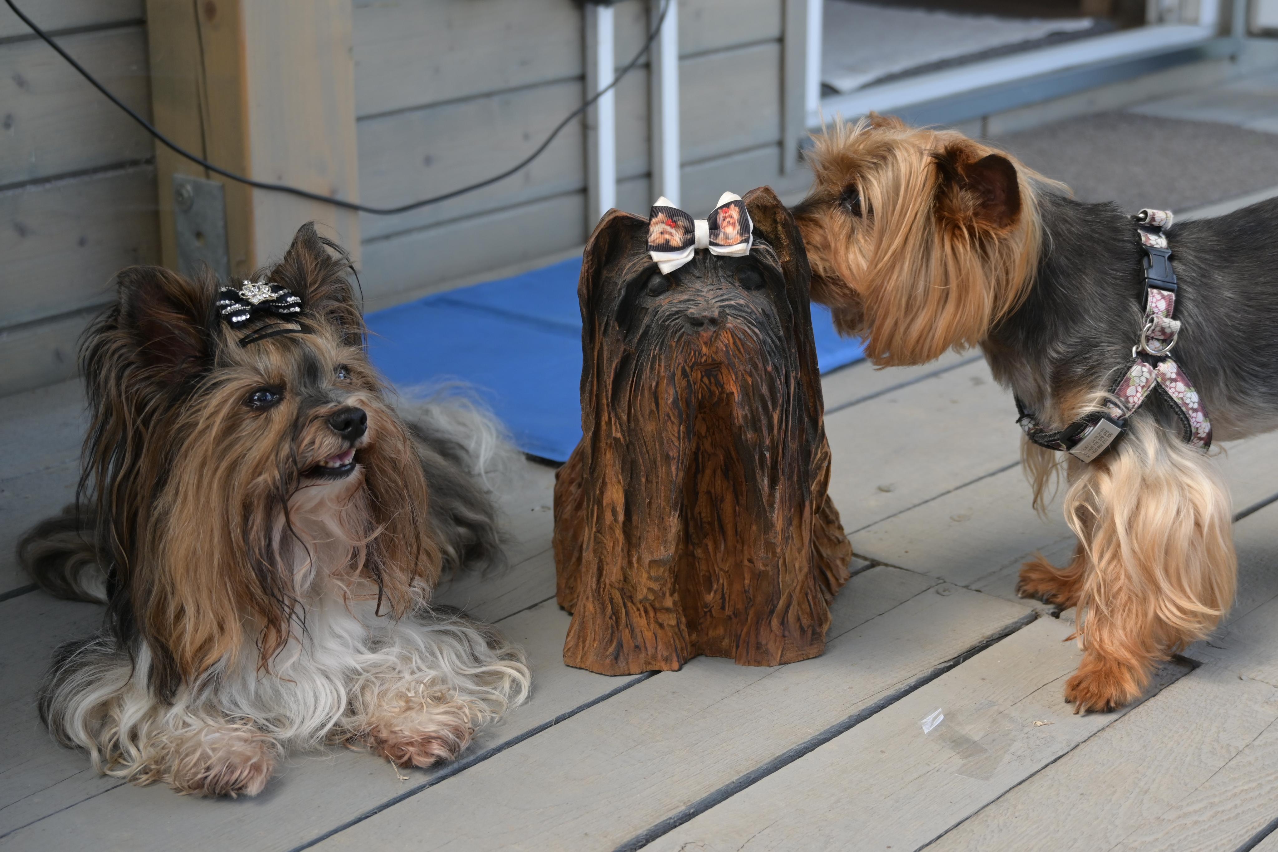 Martin Halámek - realitní makléř foto 5