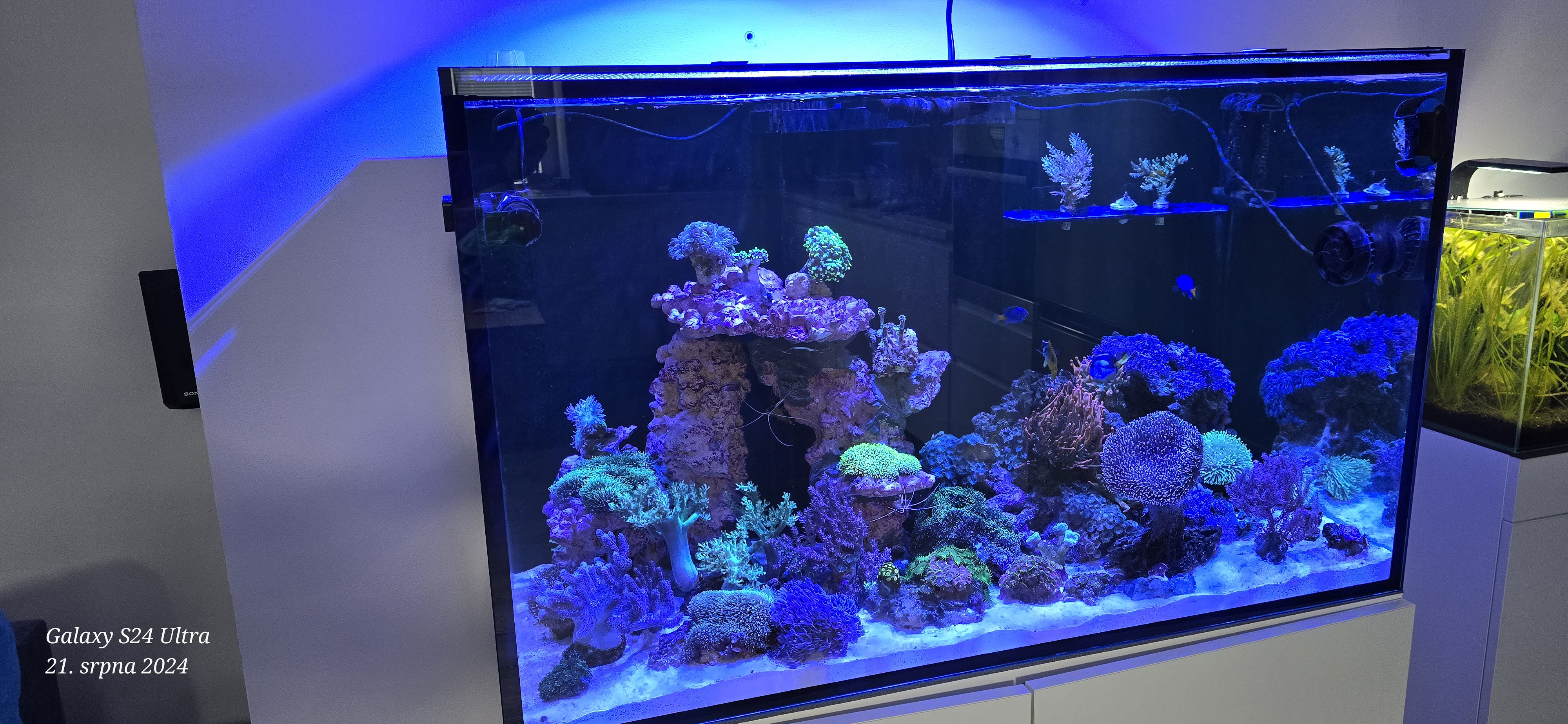 Sklenářství Gabriela Kaplanová foto 3