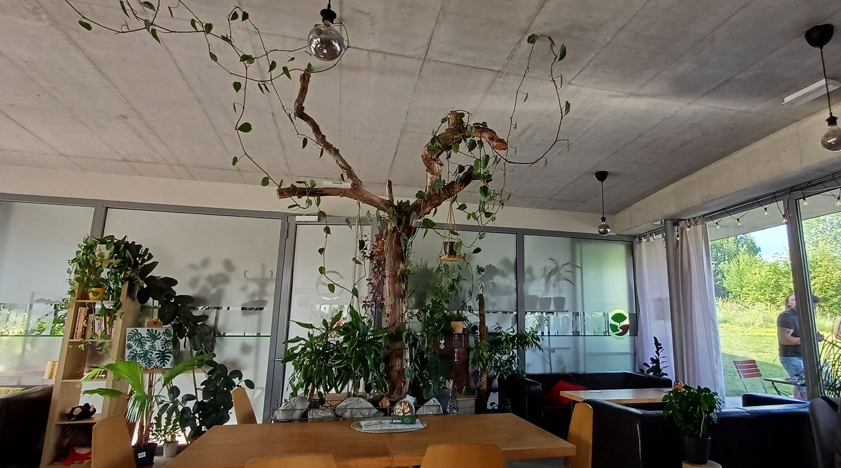 Park Cafe České Budějovice foto 5