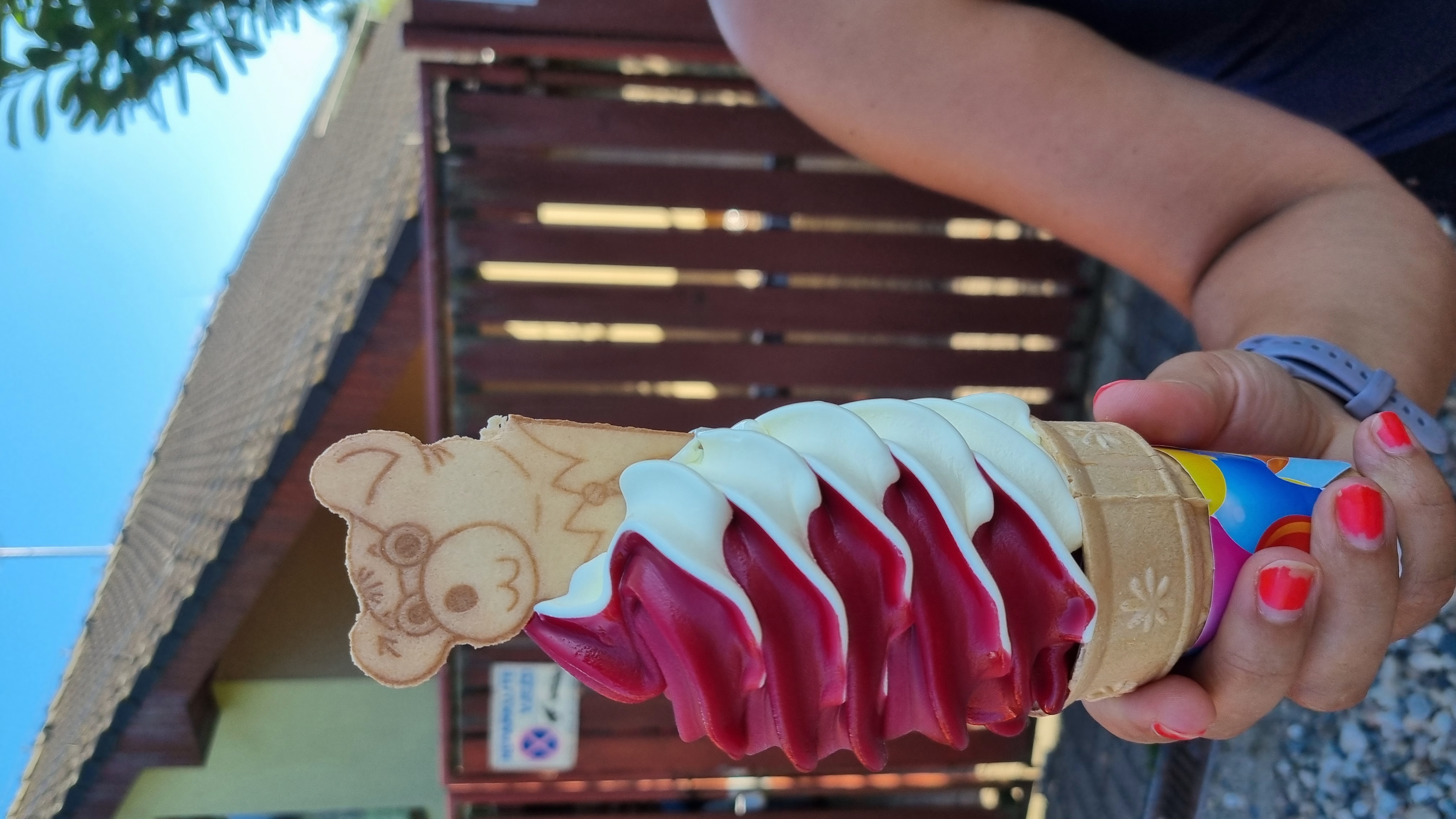 Točená zmrzlina Světice foto 5