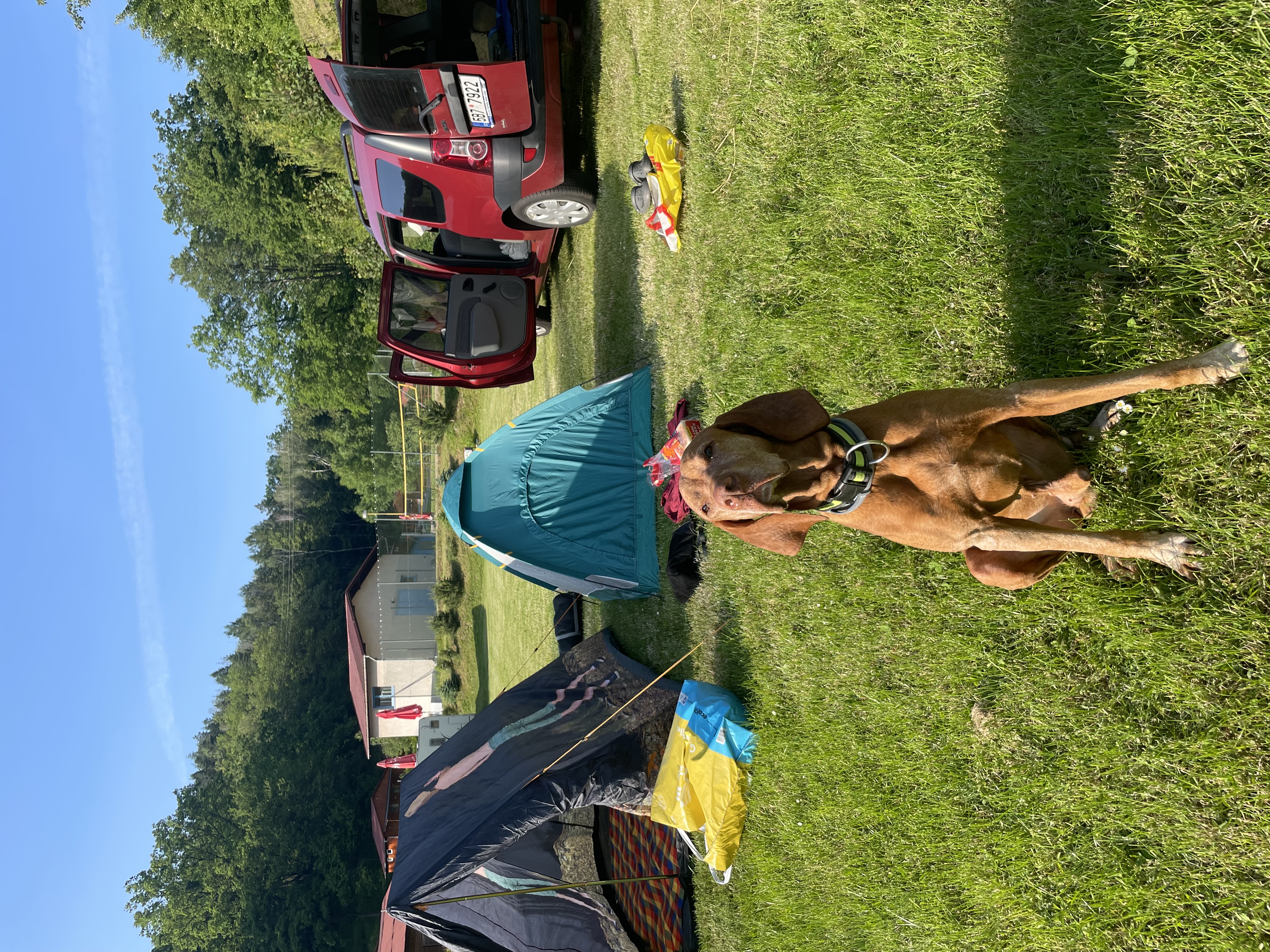 Eurocamping Bojkovice foto 5