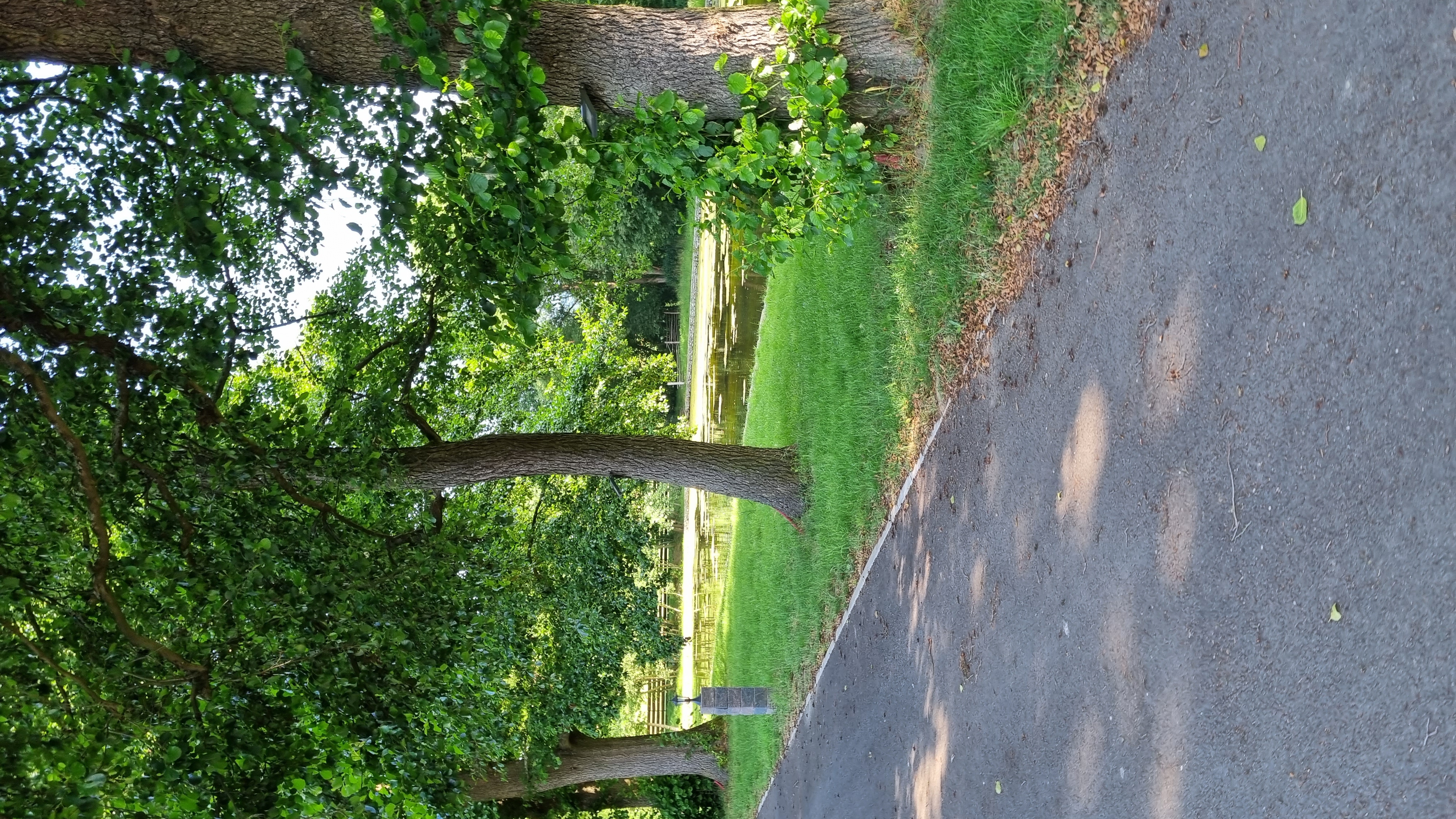 Vila Starý mlýn foto 3