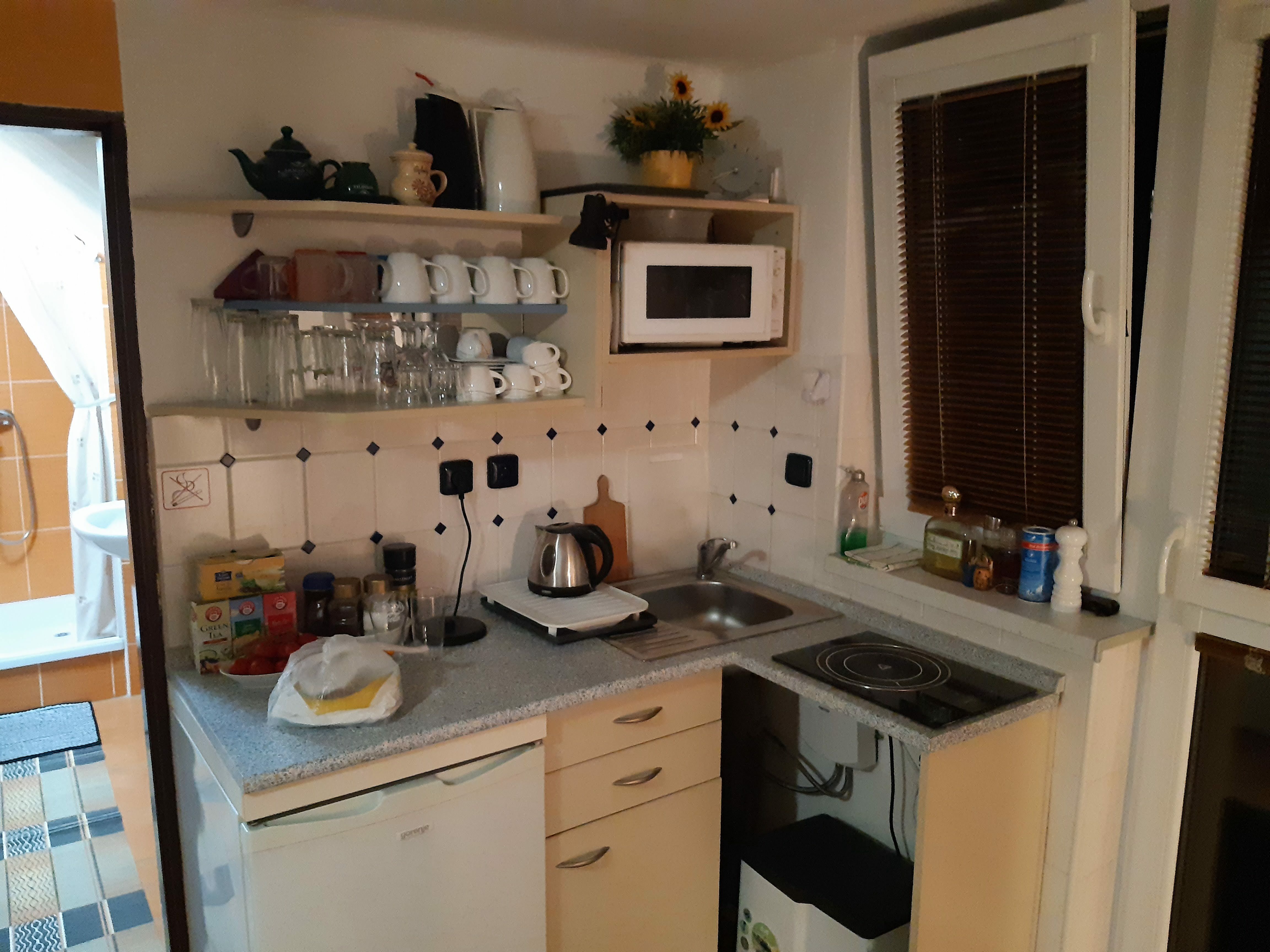 Ubytování Slunečnice foto 3