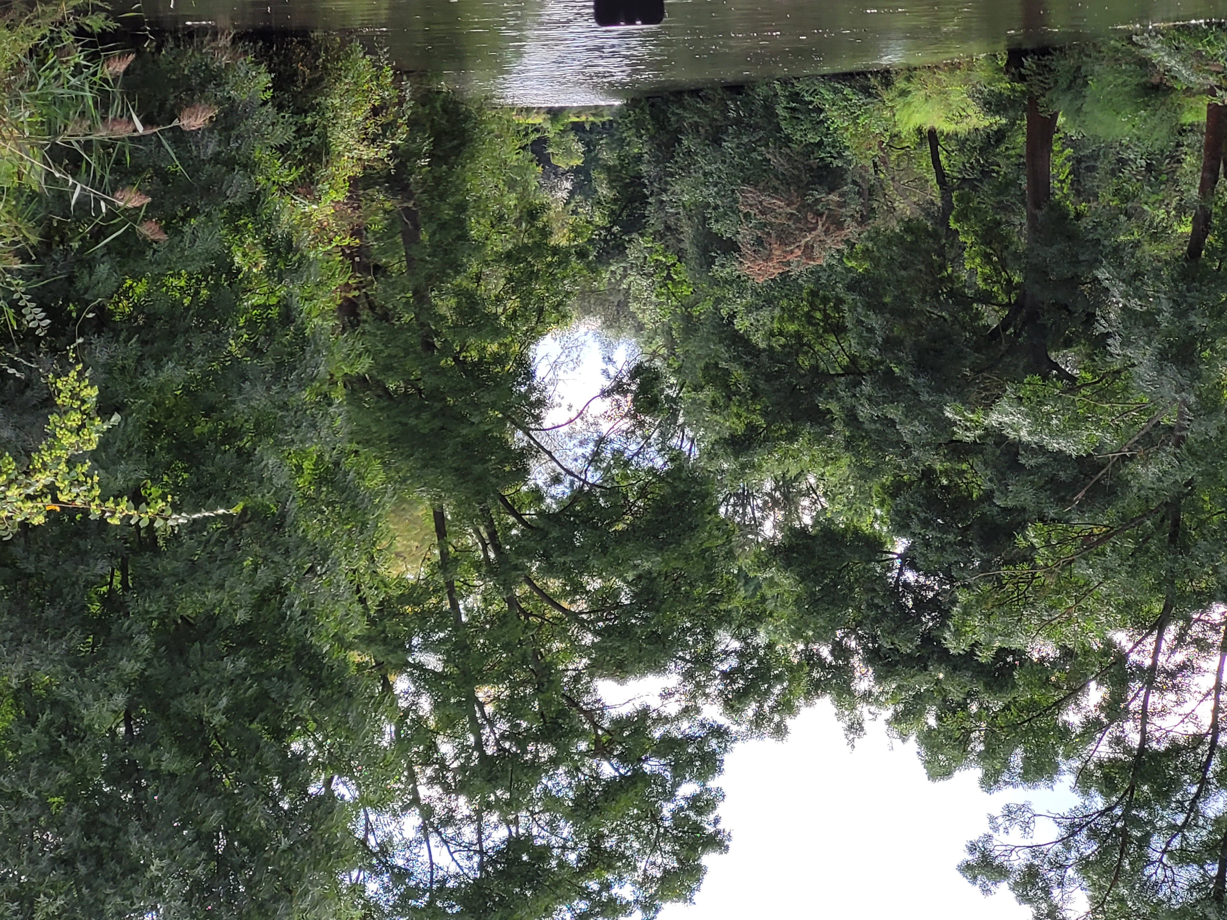 Batuvkanalpetrov.cz foto 6