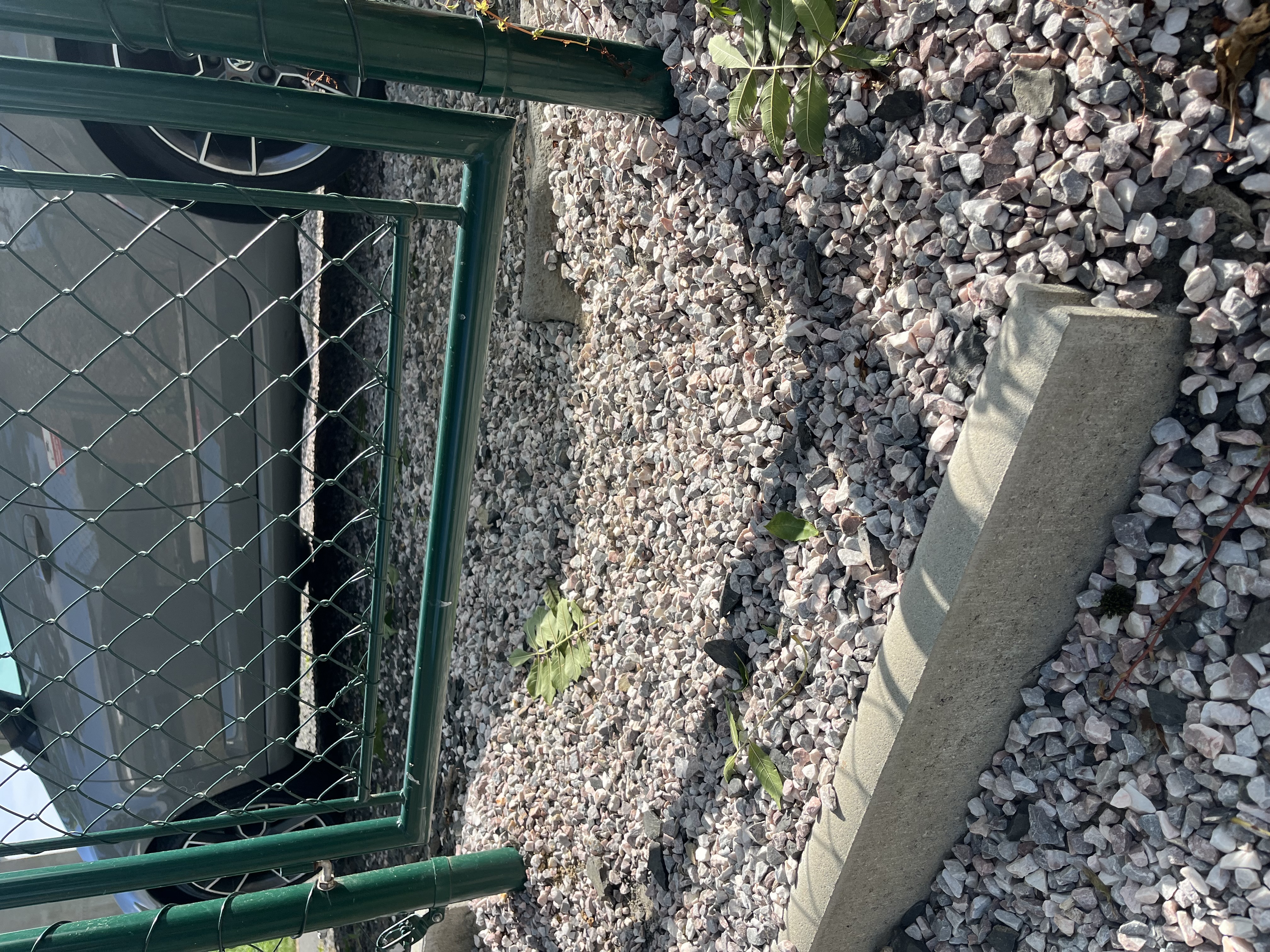 Bohemian Homes - Buddha foto 6