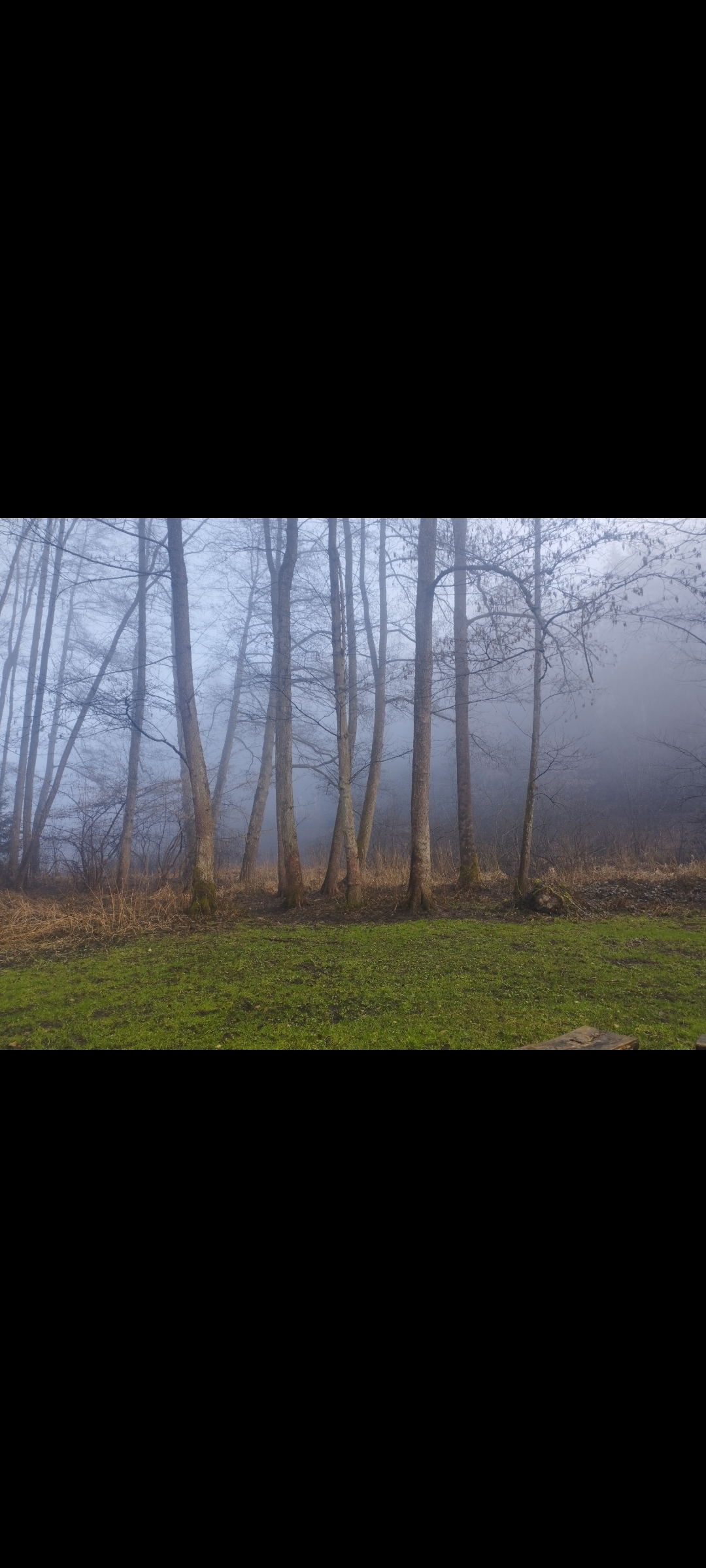 Tábořiště U Splávku foto 4