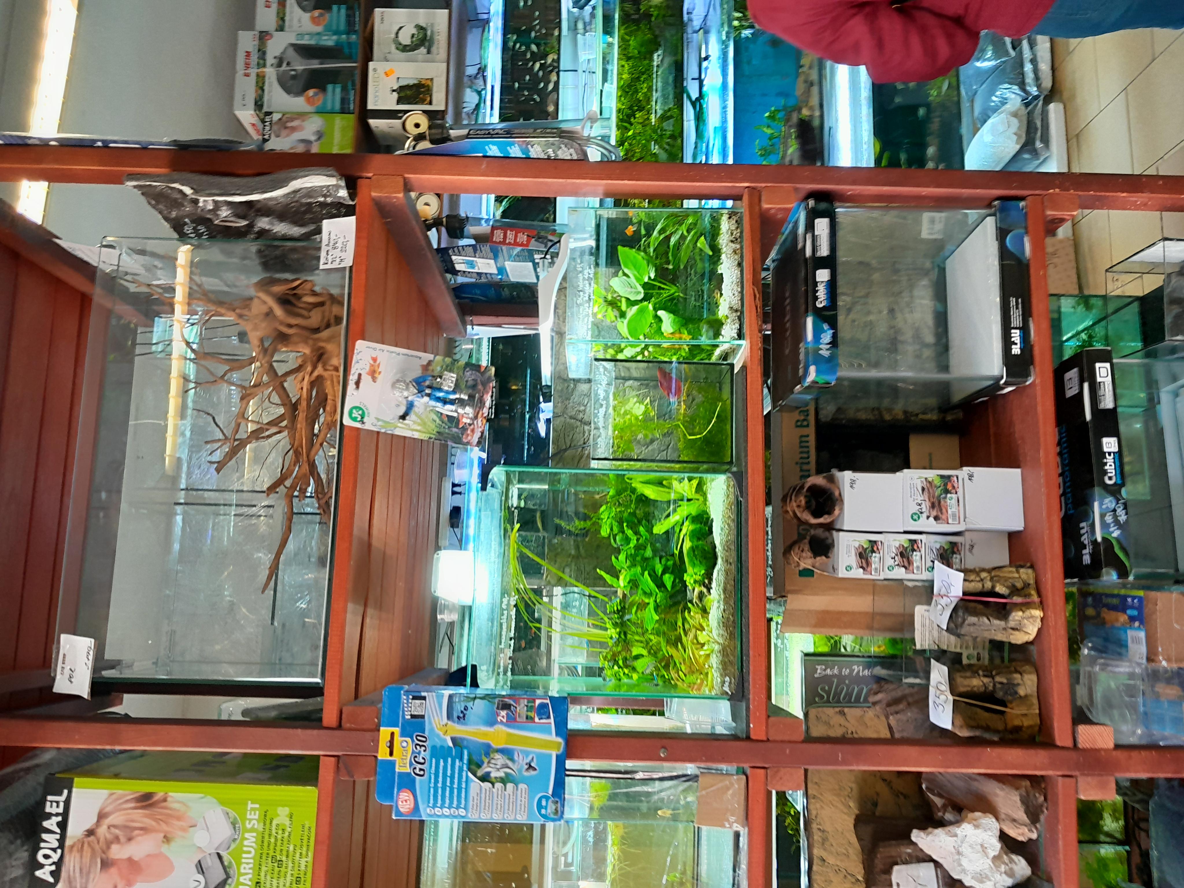 Akvaristika Winkler foto 4