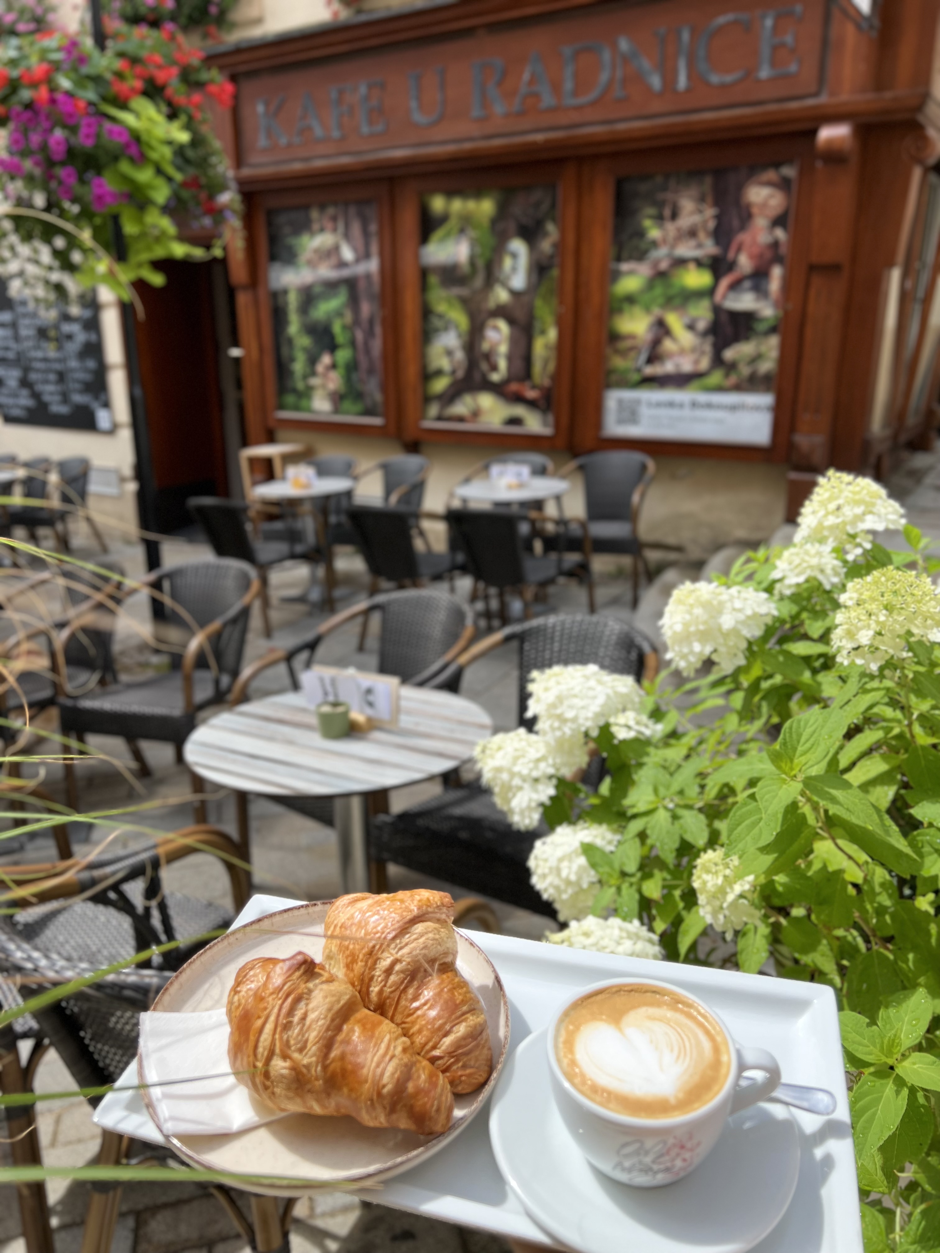 Kafe u radnice foto 6
