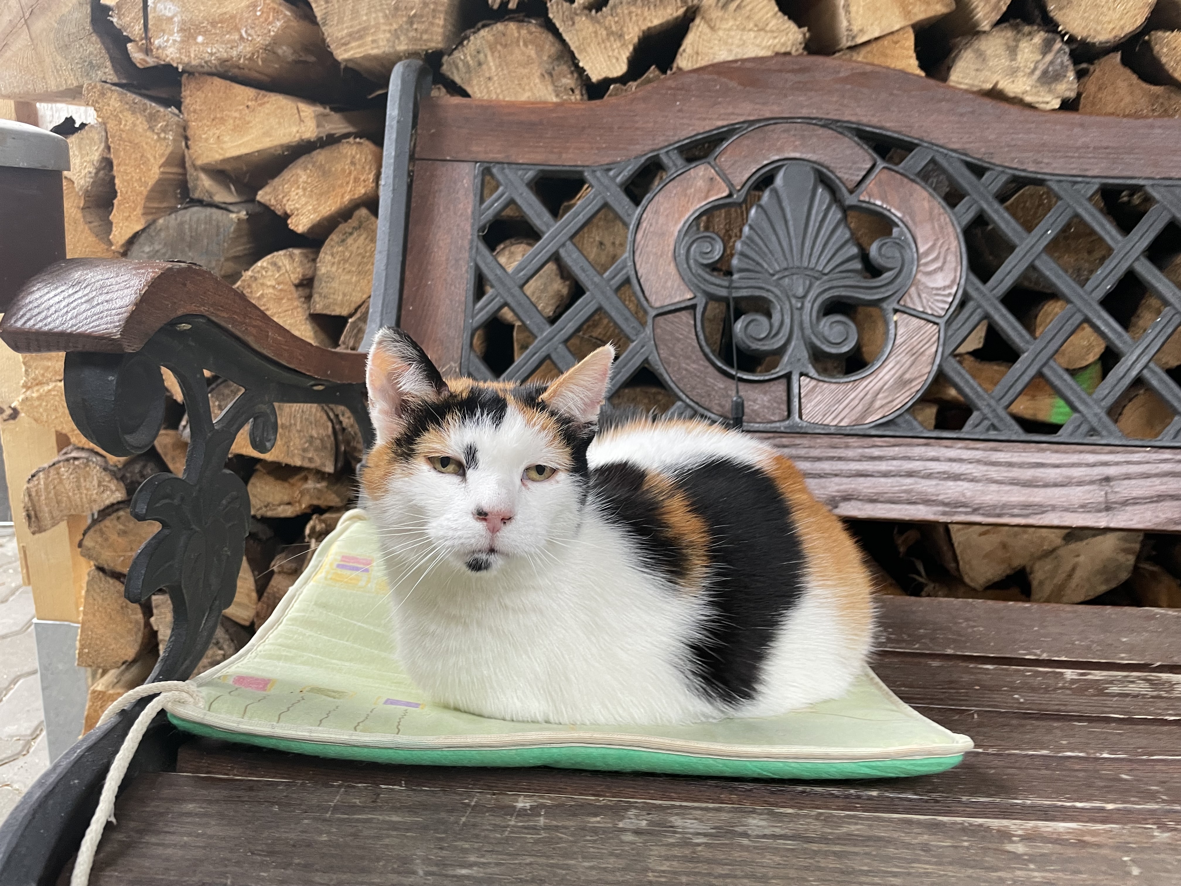 Ubytování u Čermáků foto 2