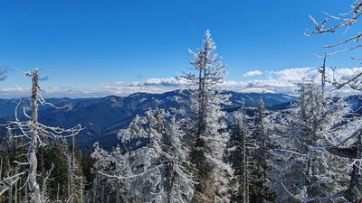 Mayu41【TATRAS】 PANTELLERIA DANIANO Pants | TATRAS Official