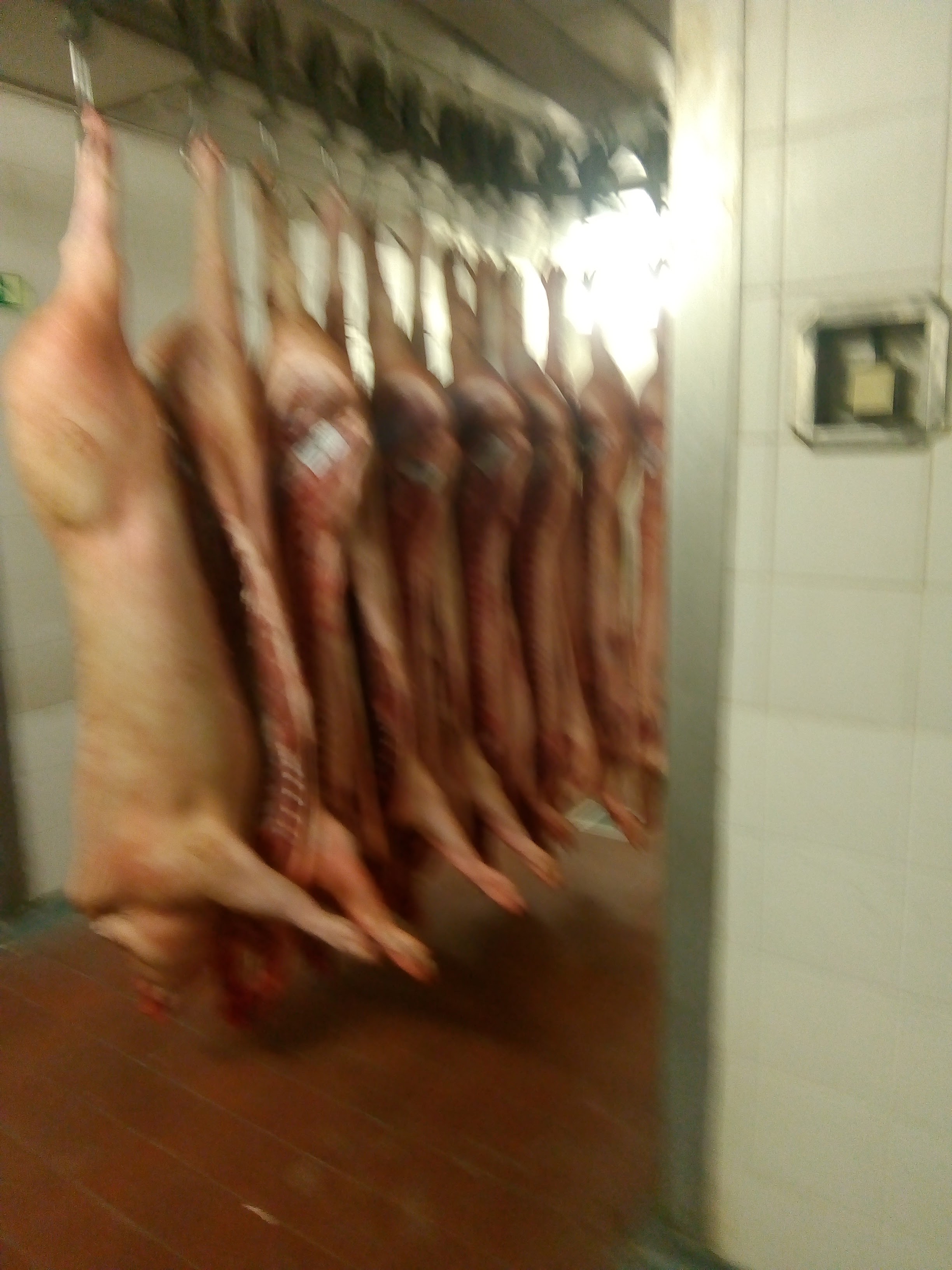 Řeznictví MÚÚÚ foto 3