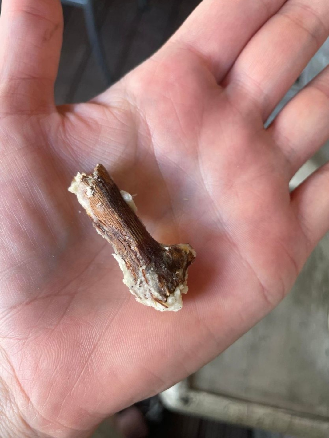 Jednota, spotřební družstvo v Hodoníně - COOP foto 5