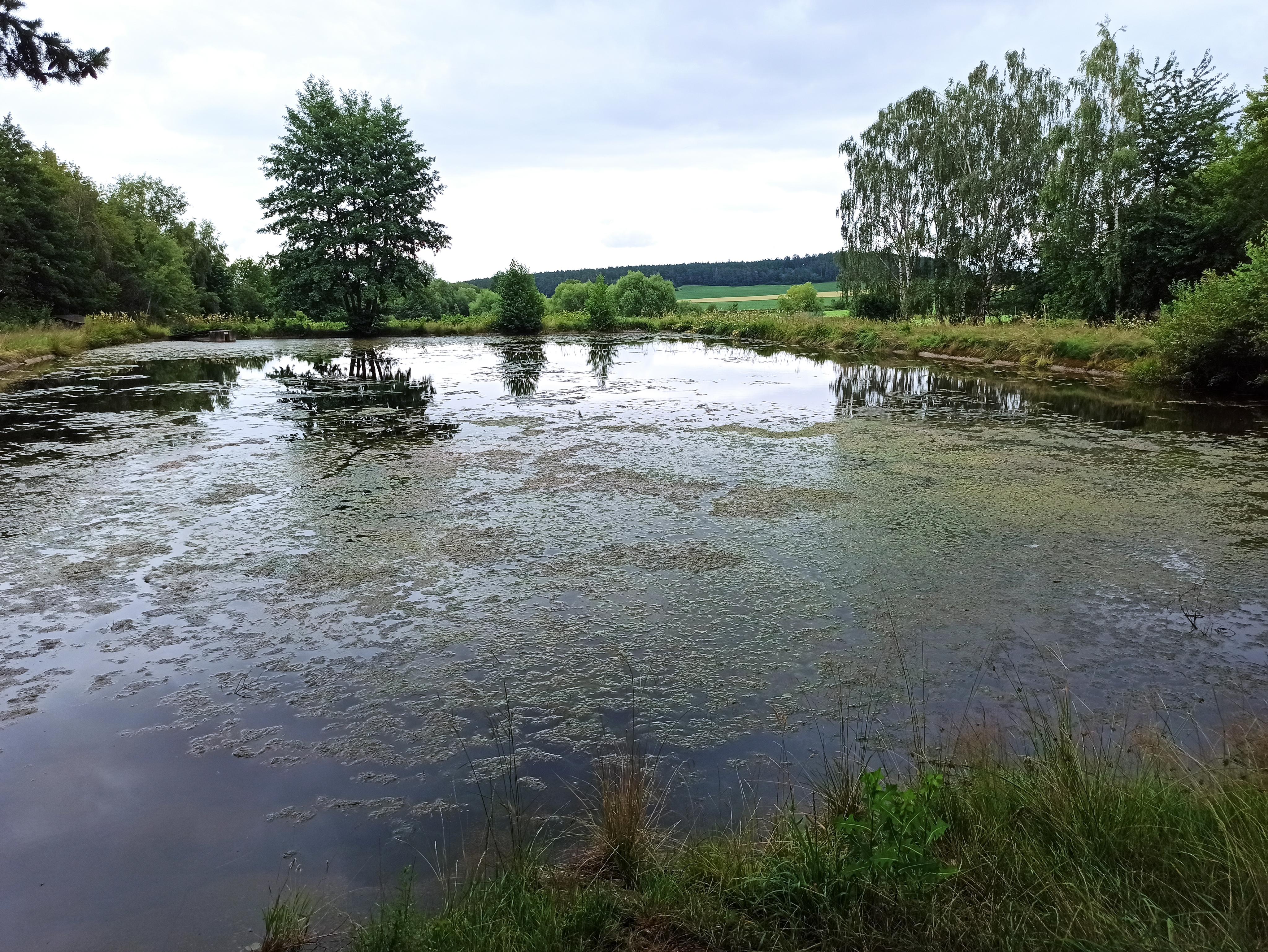 Veřejné koupaliště foto 3