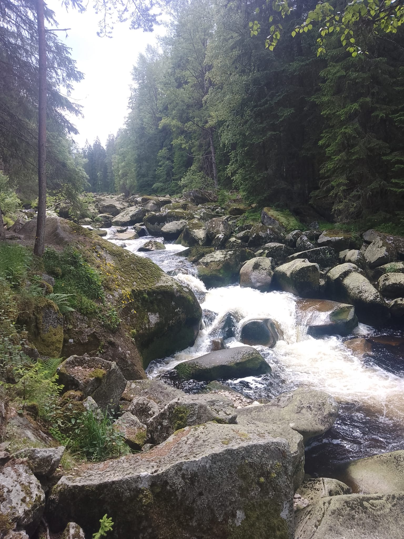 Ubytování Žabka foto 3