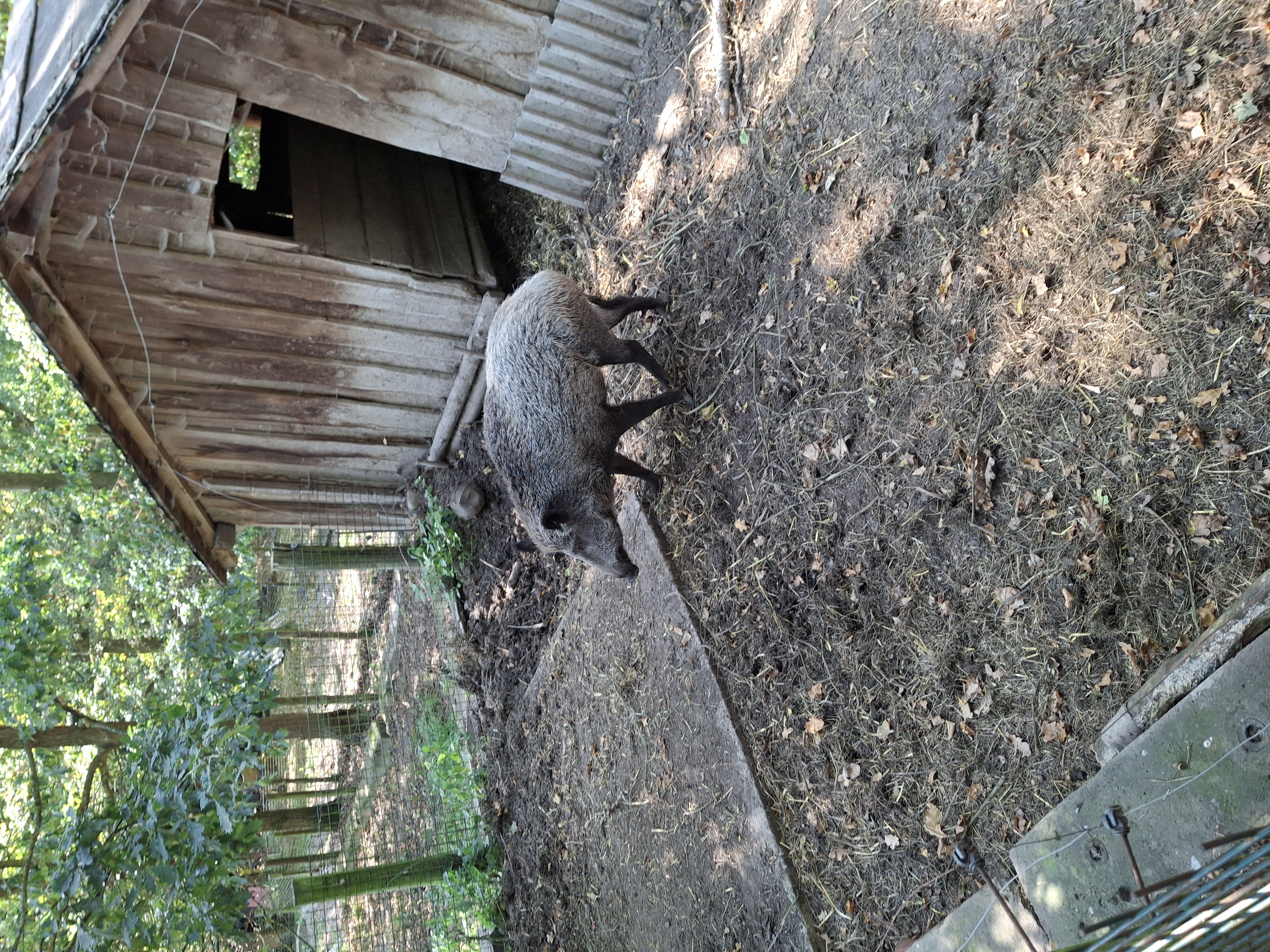 Pavlína Štyndlová foto 5