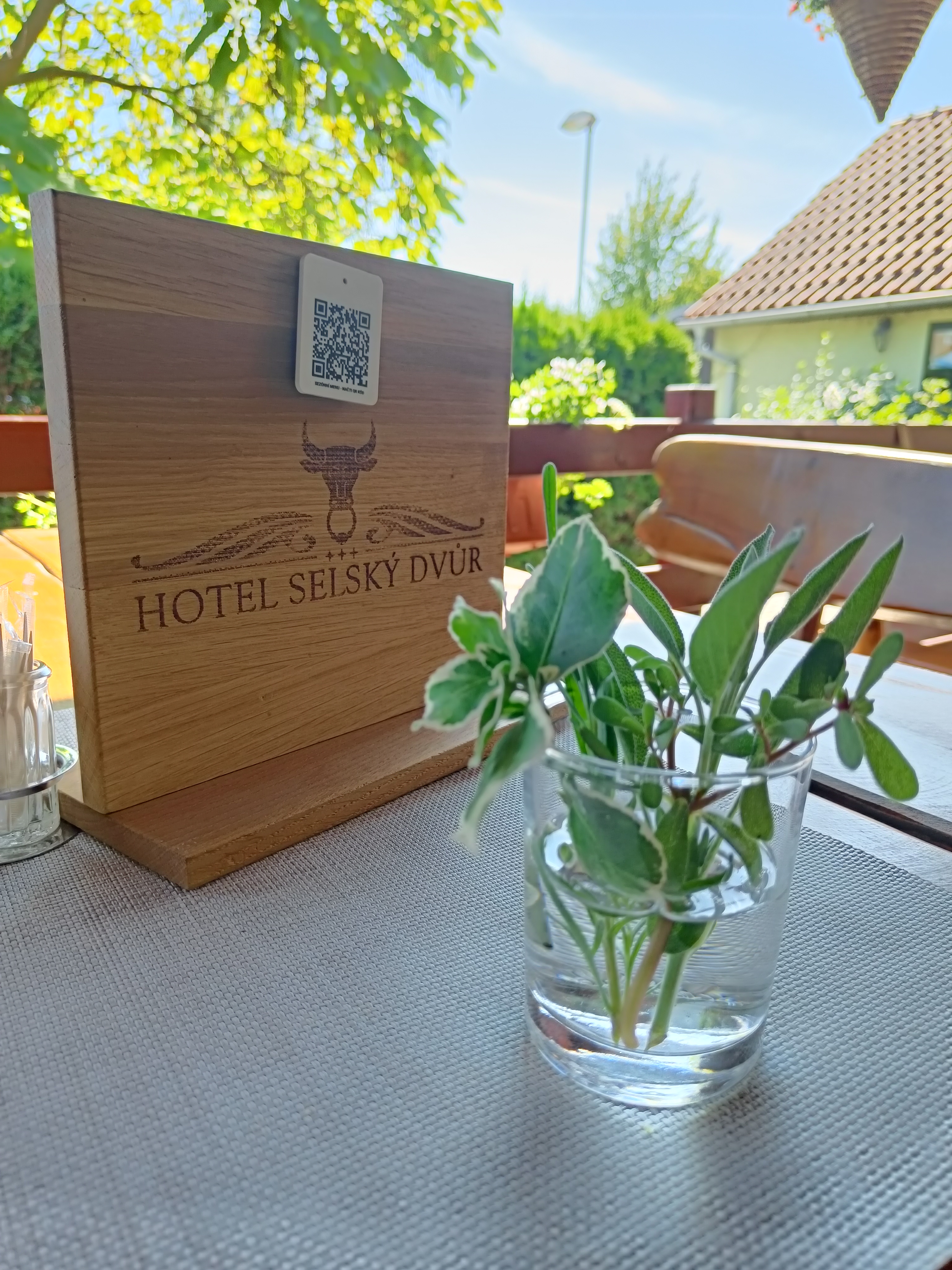 Hotel Selský dvůr*** foto 3