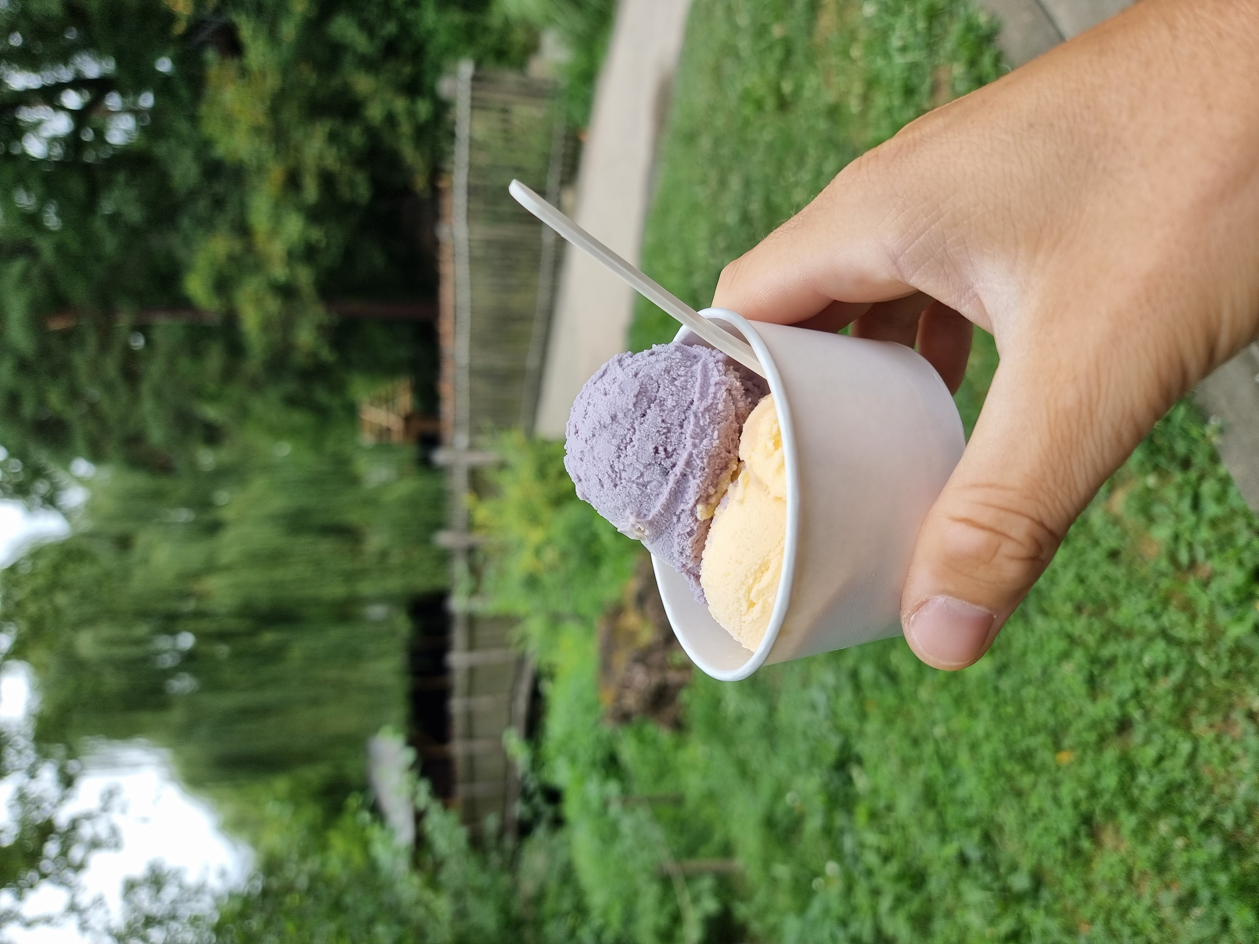 Zmrzlina ZOO Zlín foto 4