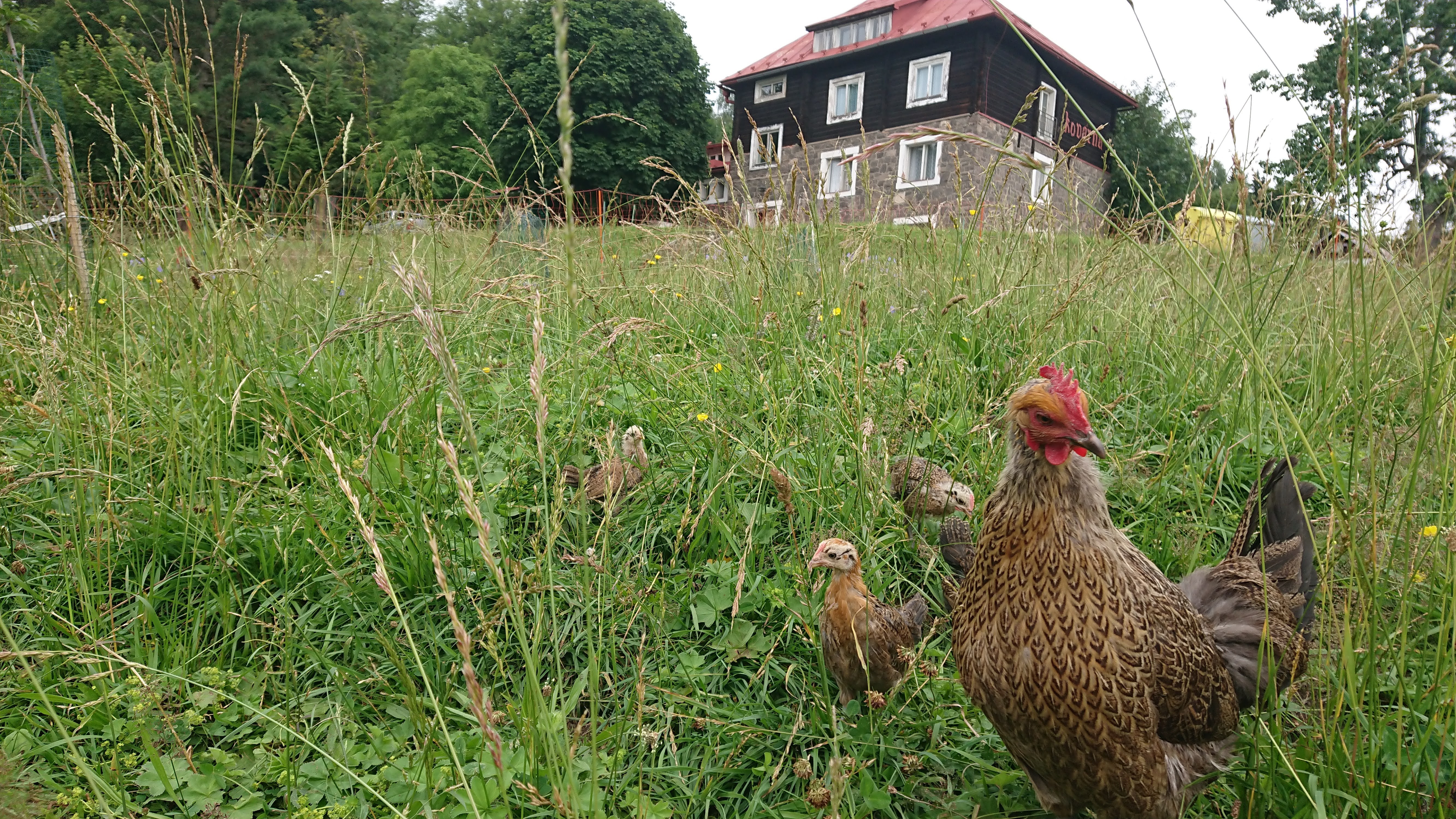 Farma Rampuše - Chata Kovárna foto 2