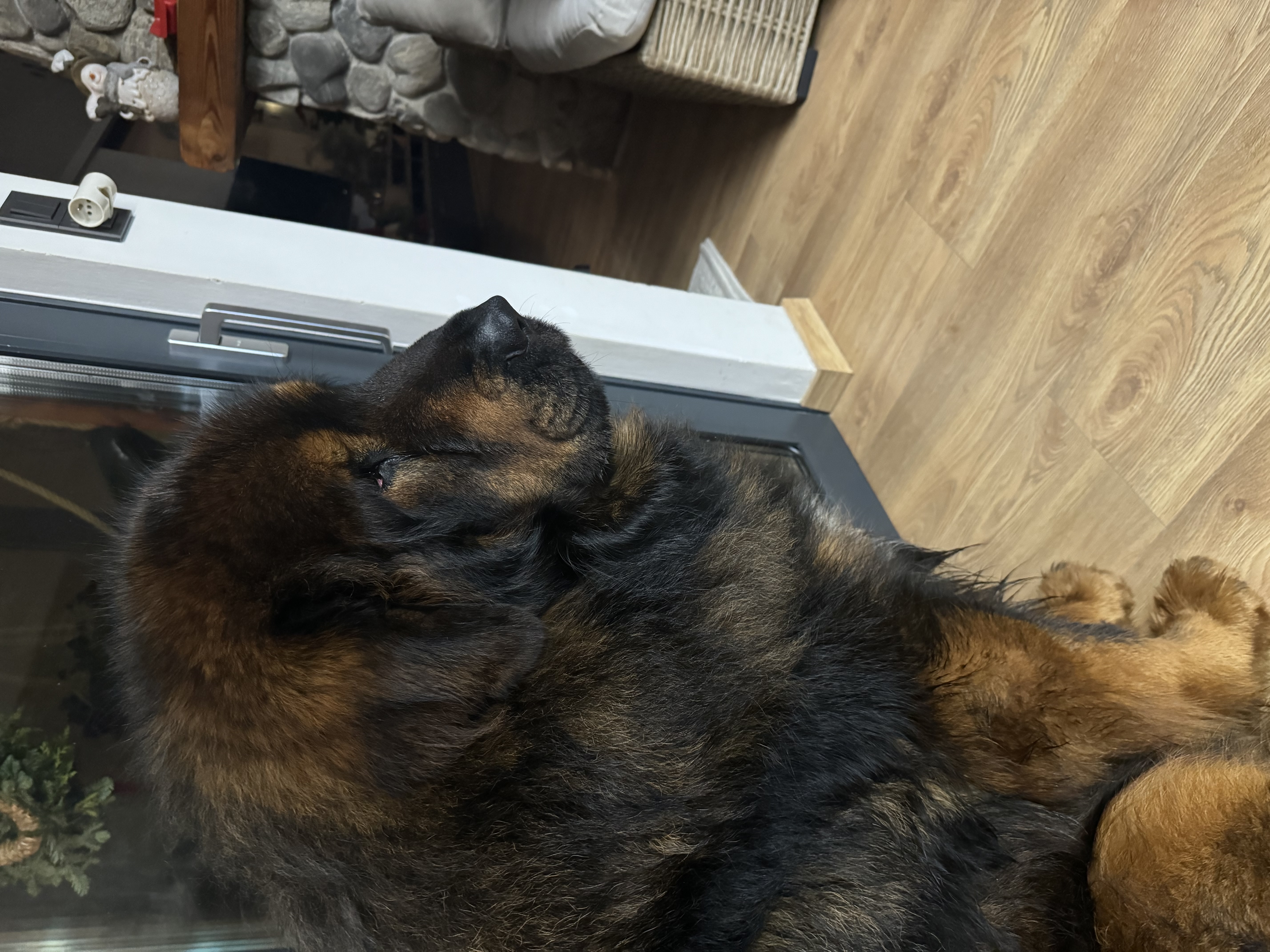 Veterinární klinika Růžodol, s.r.o. foto 4