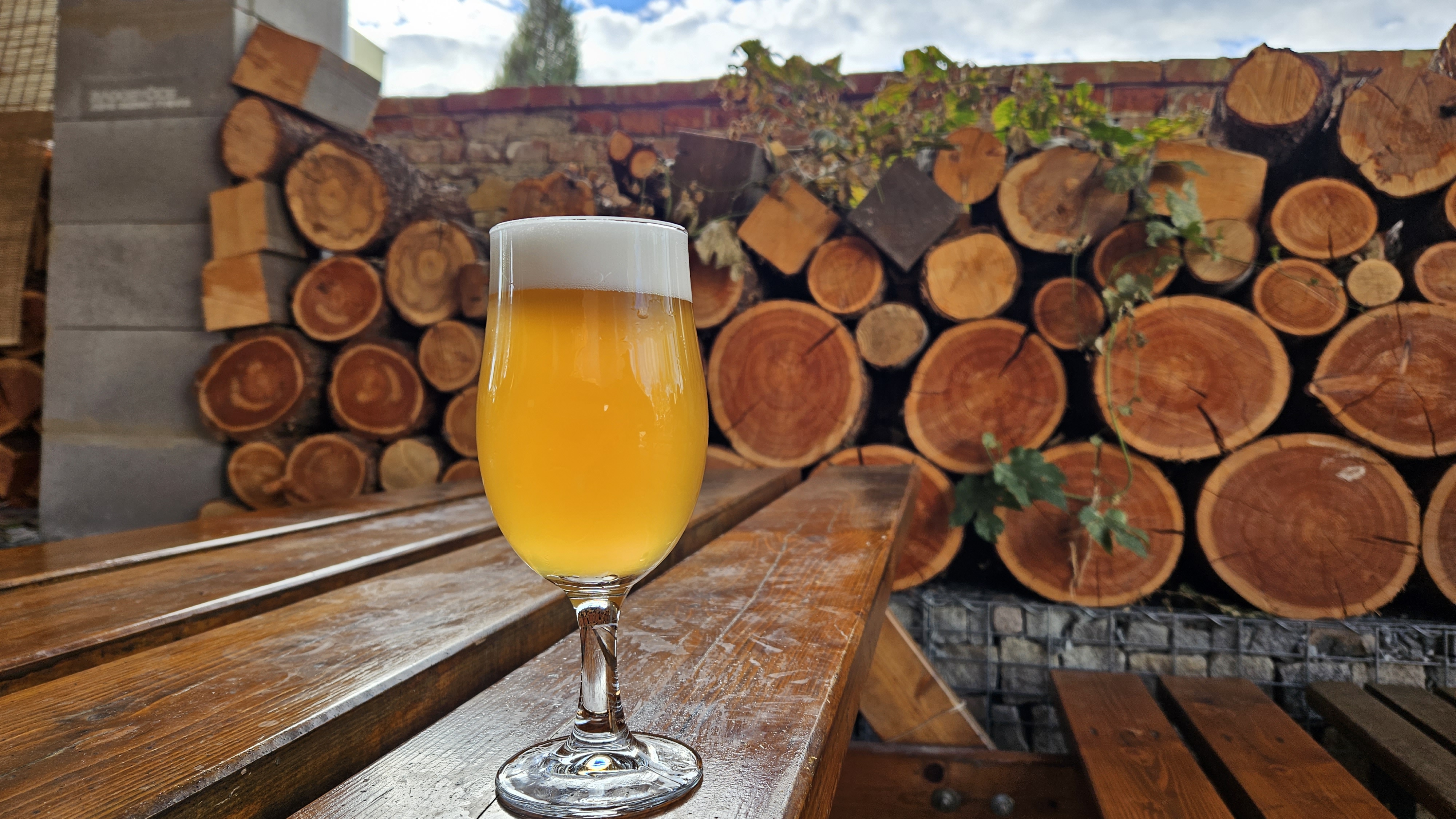 Rodinný pivovar Radobyčice foto 6