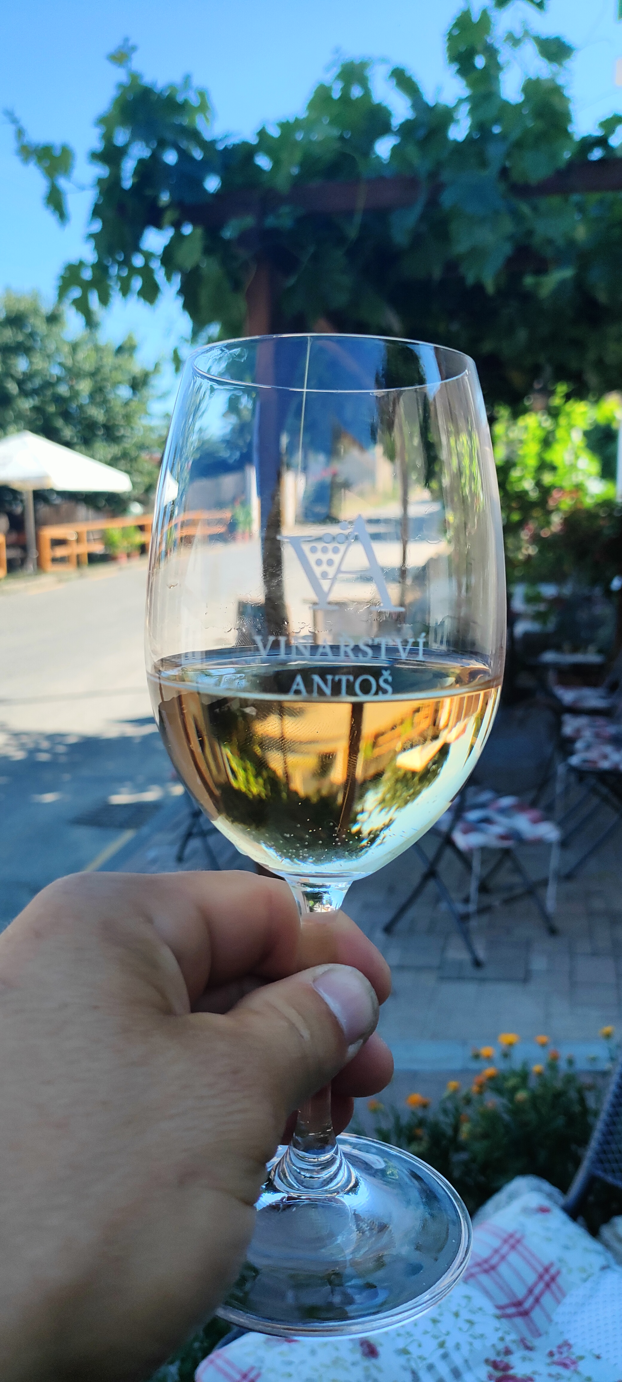 Vinařství Antoš foto 6