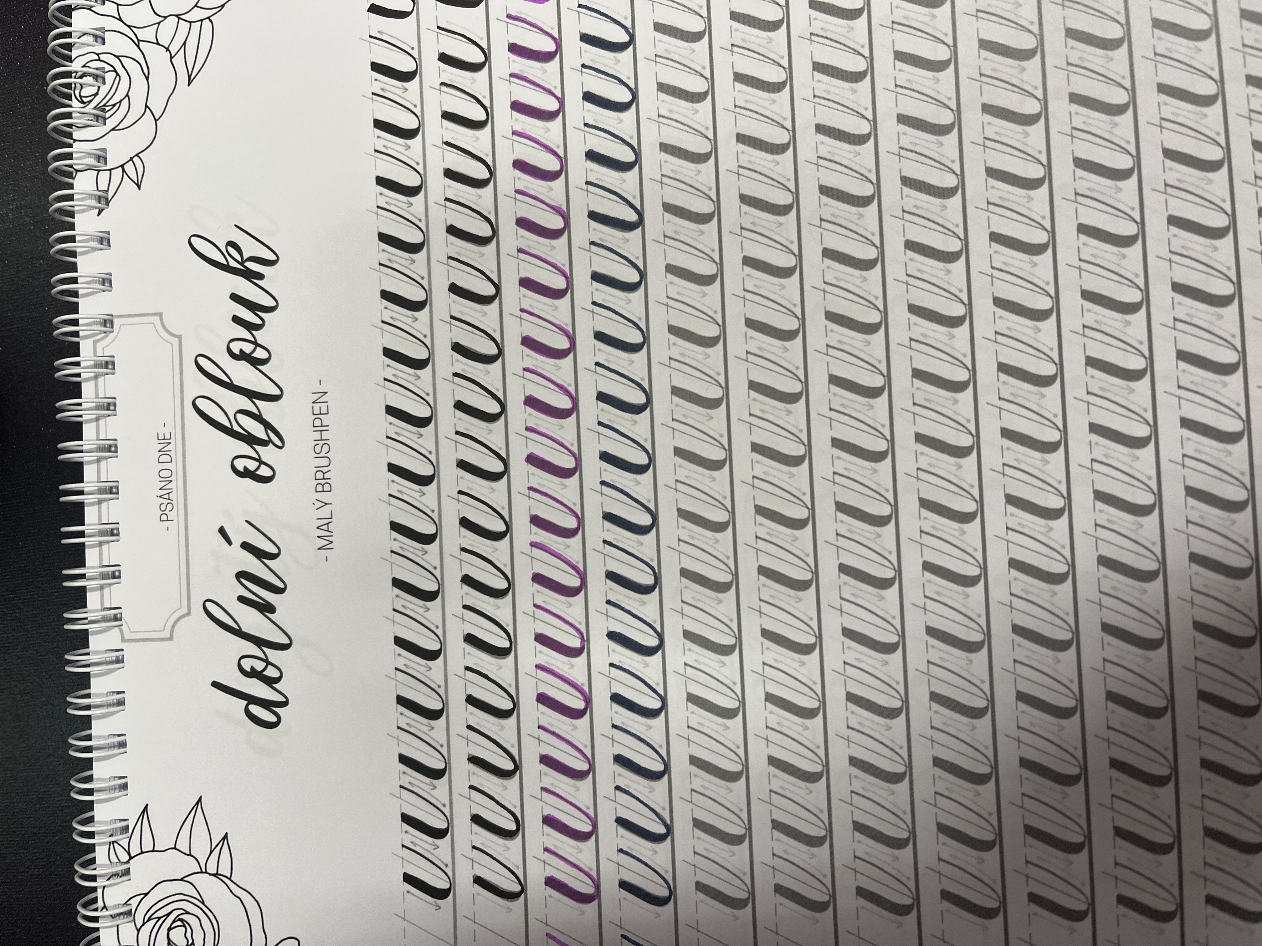 Kaligrafie Markéta Šímová - Simaco Art & Design s.r.o. foto 6