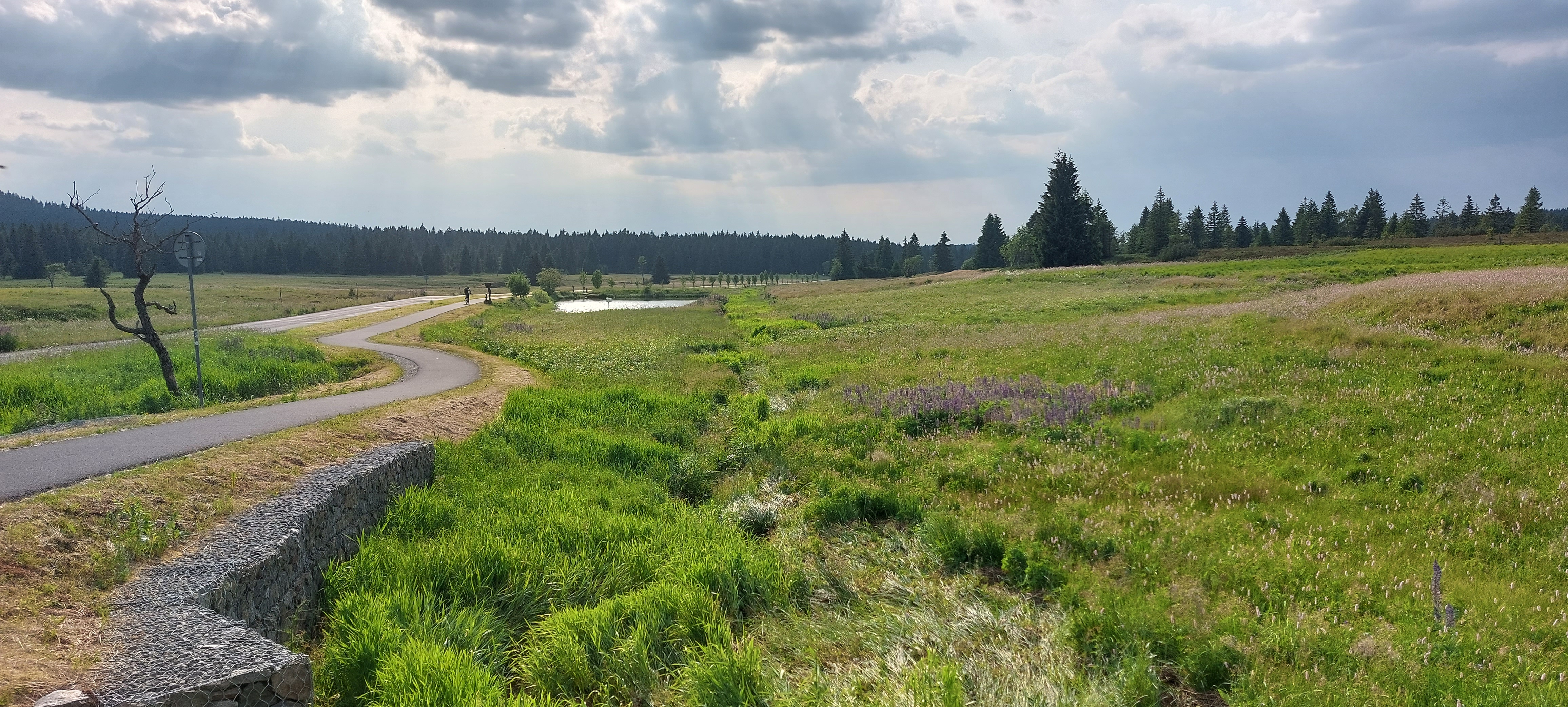 Pension H. Blatná foto 3