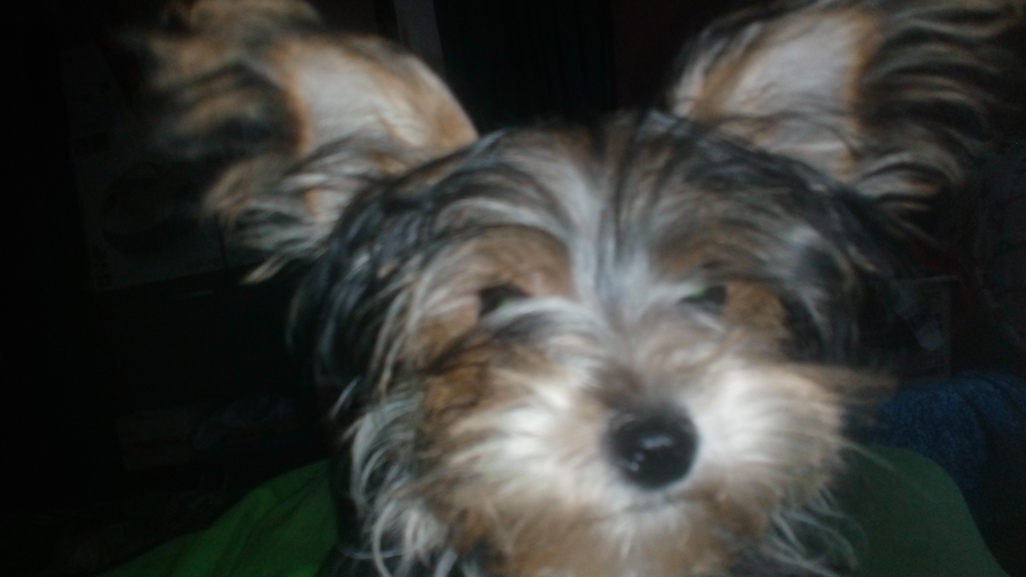 RONDOgo, s.r.o. foto 6