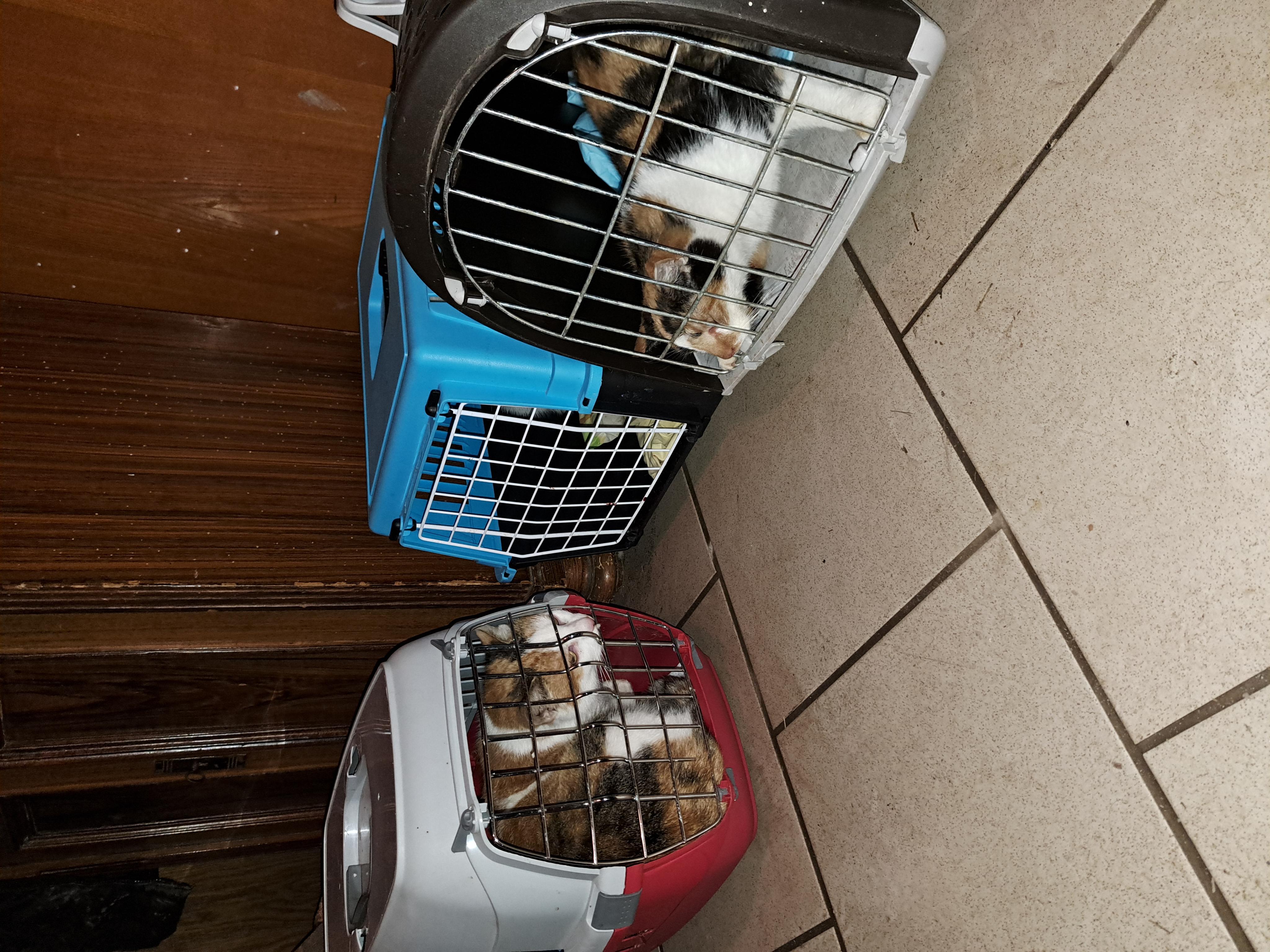 Veterinární ordinace Lažany foto 4