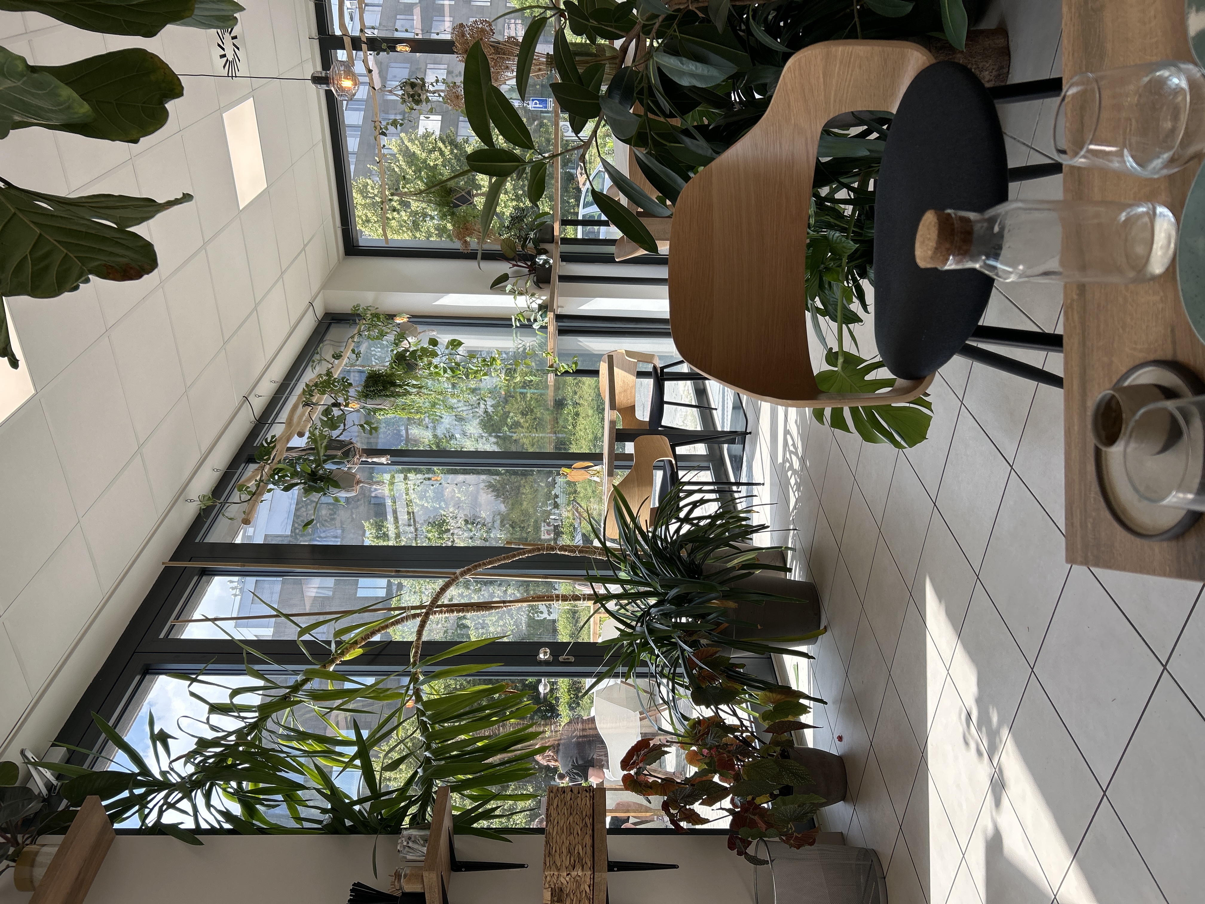 Café Lyrata foto 3