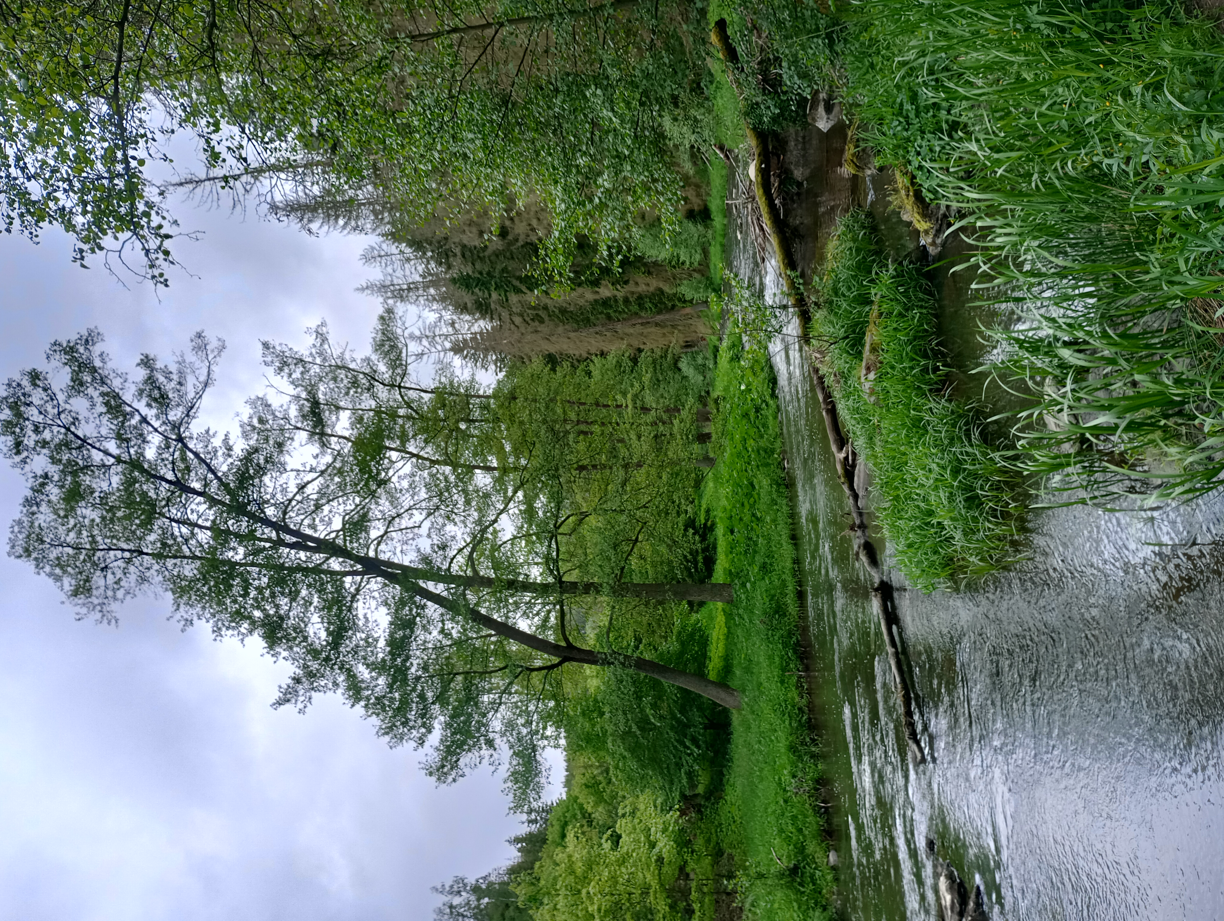 Čoubův Mlýn foto 2