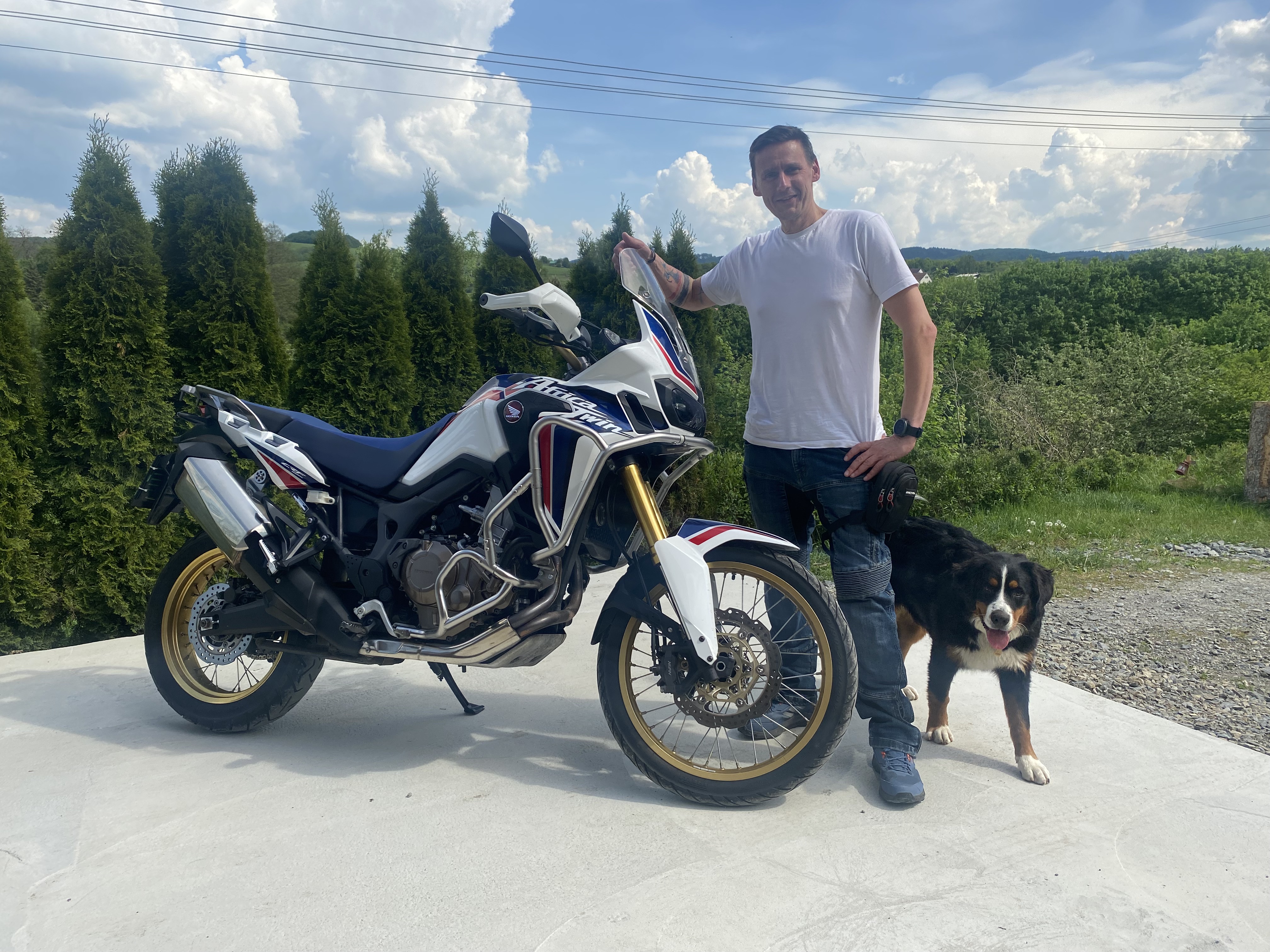 Holub moto foto 2