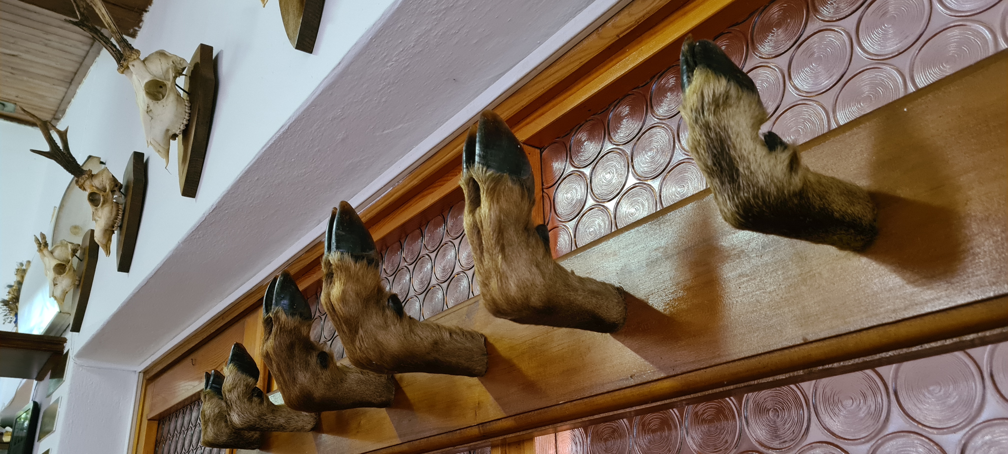 Penzion Lasie foto 5