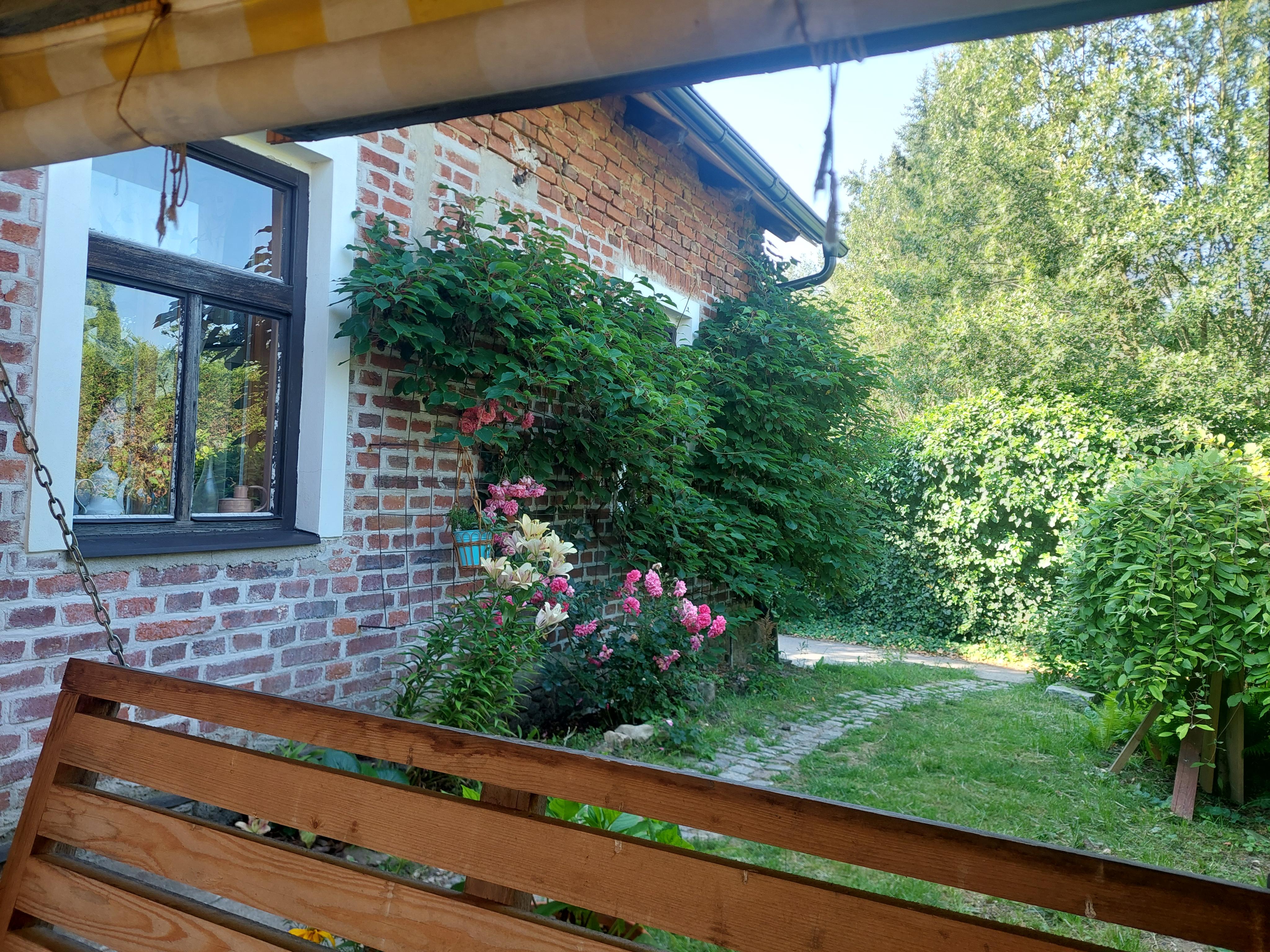 Cihloffka foto 6