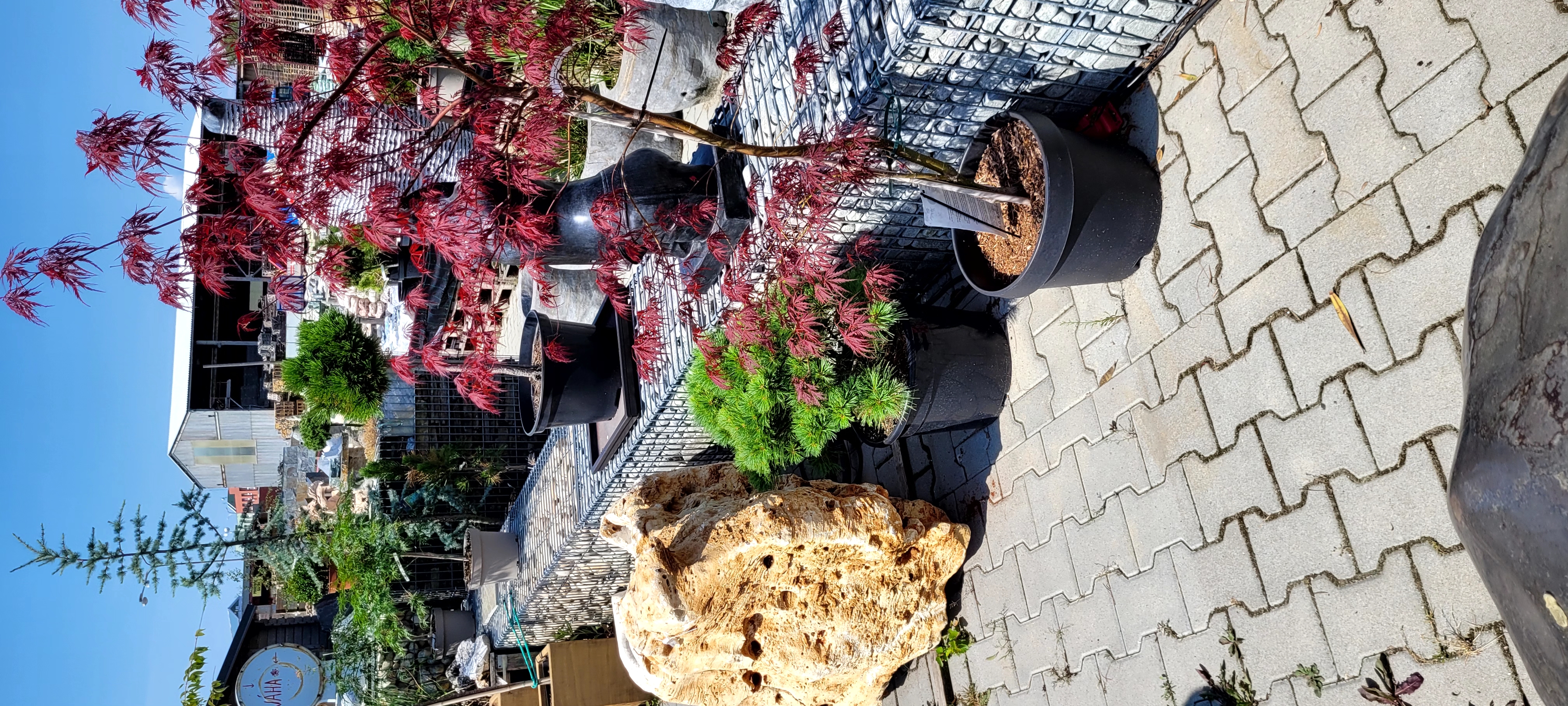 Kámen a zahrada foto 2