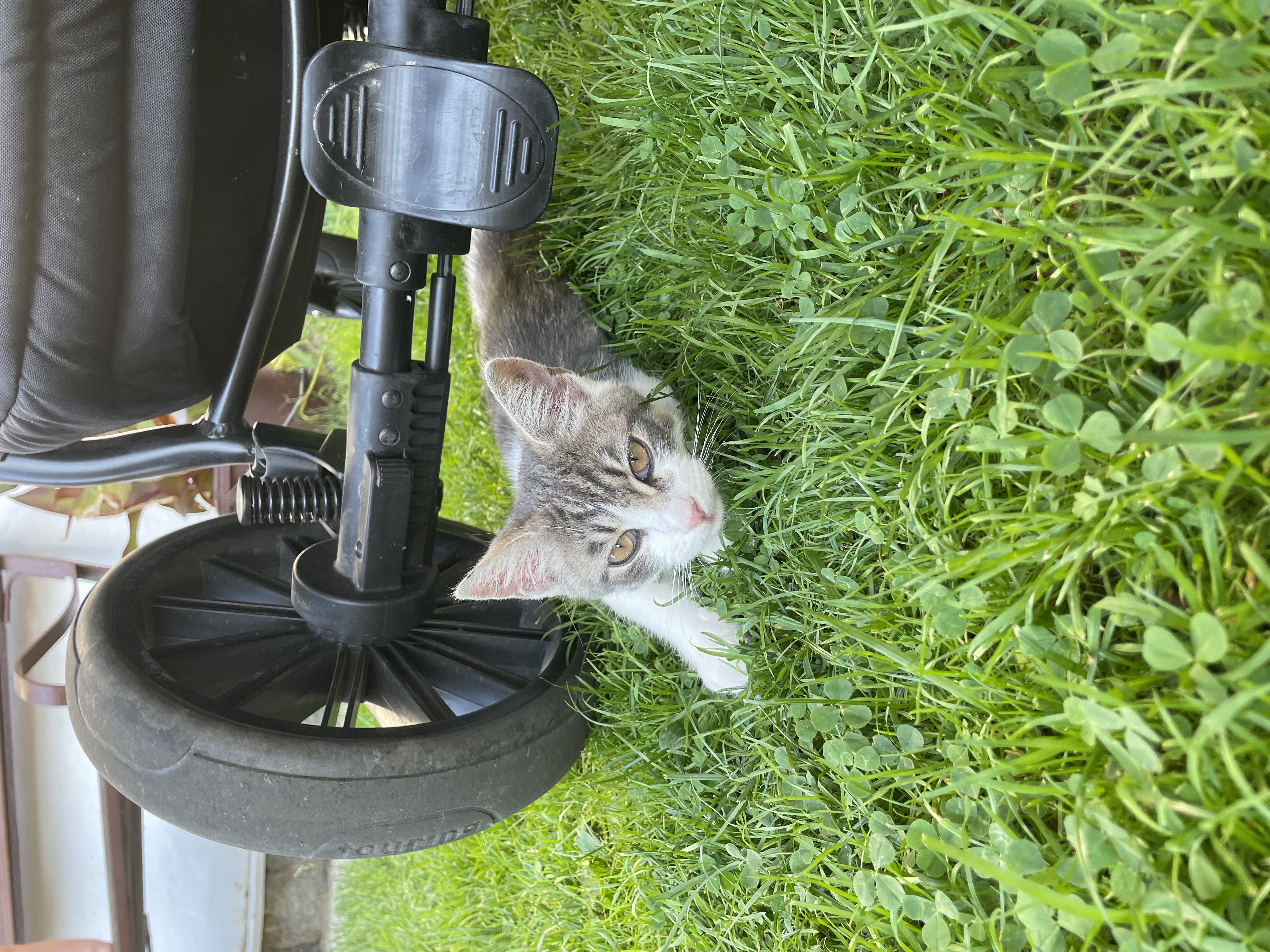 Penzion U Rodinky foto 3