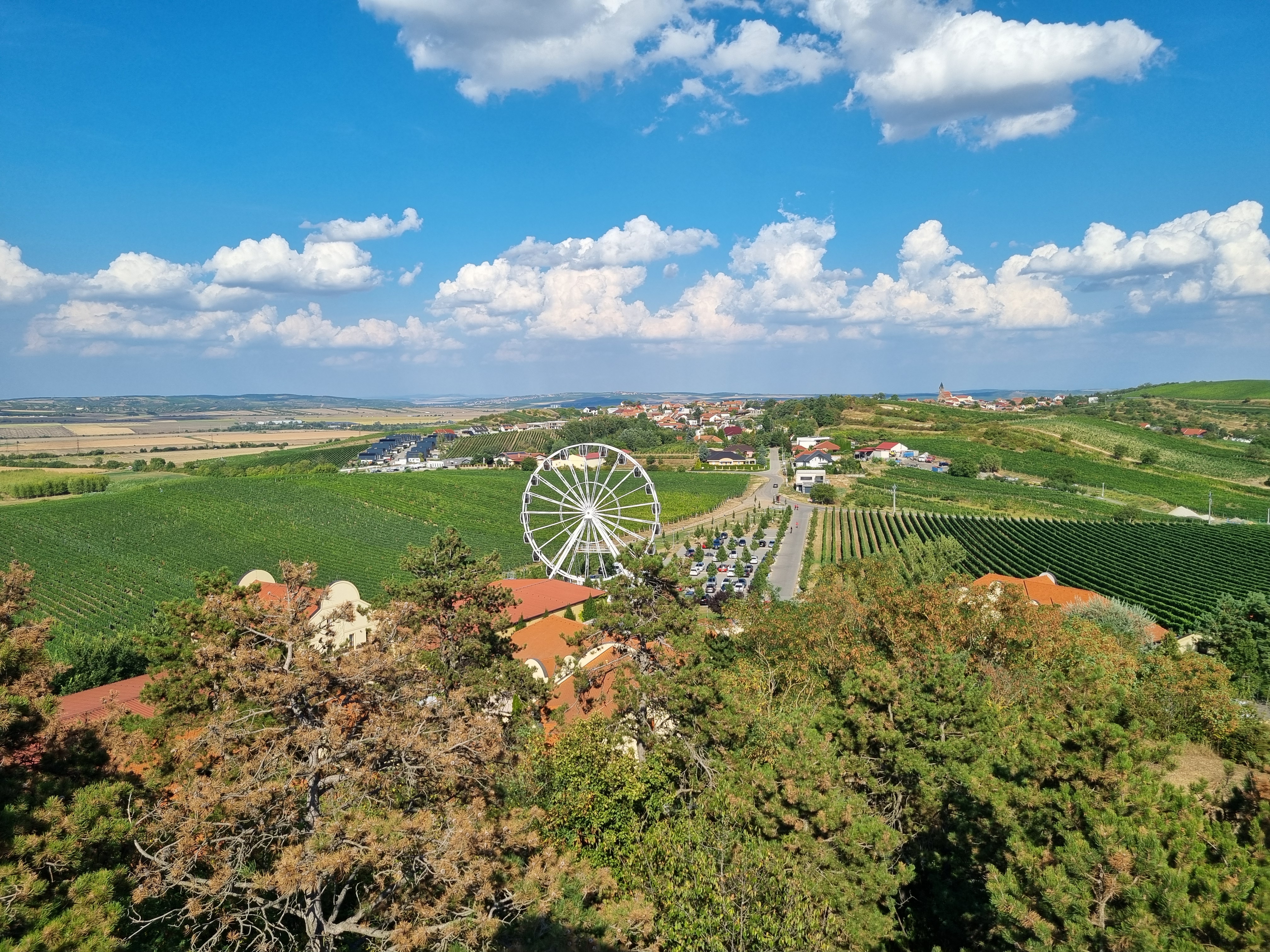 APARTMÁNY V PARKU foto 5