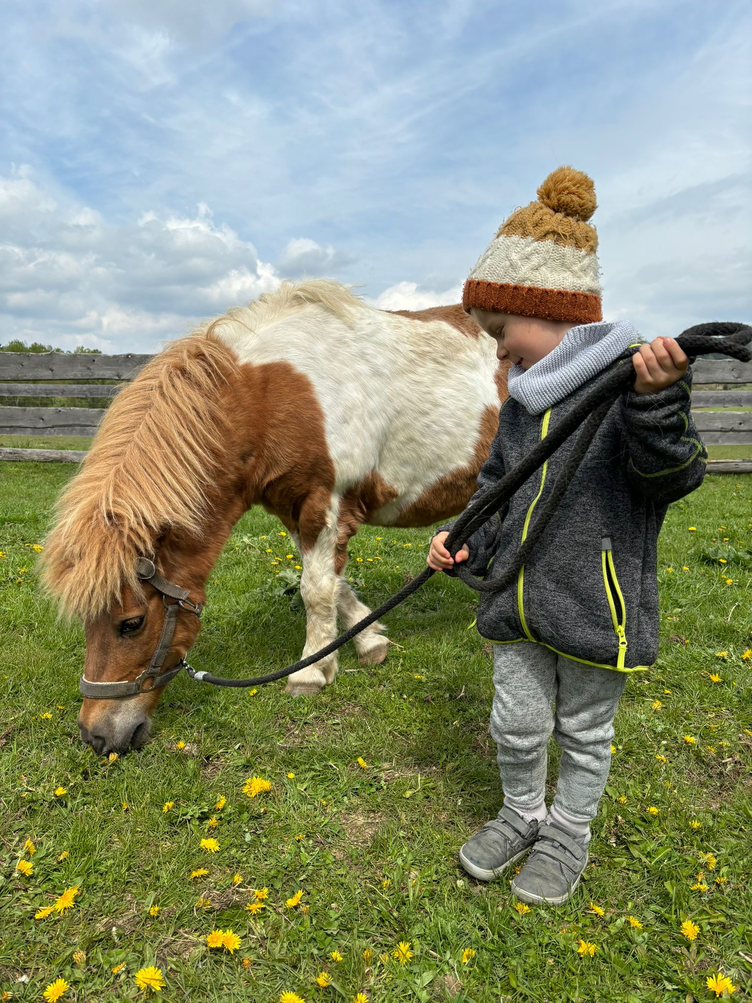 Jízdárna Divišov u Sušice foto 2
