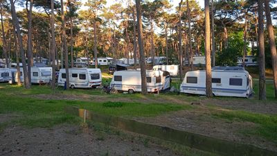 falttisch camping Campingtisch kaufen » Perfekt für Camping Abenteuer 😍 – Naturbummler