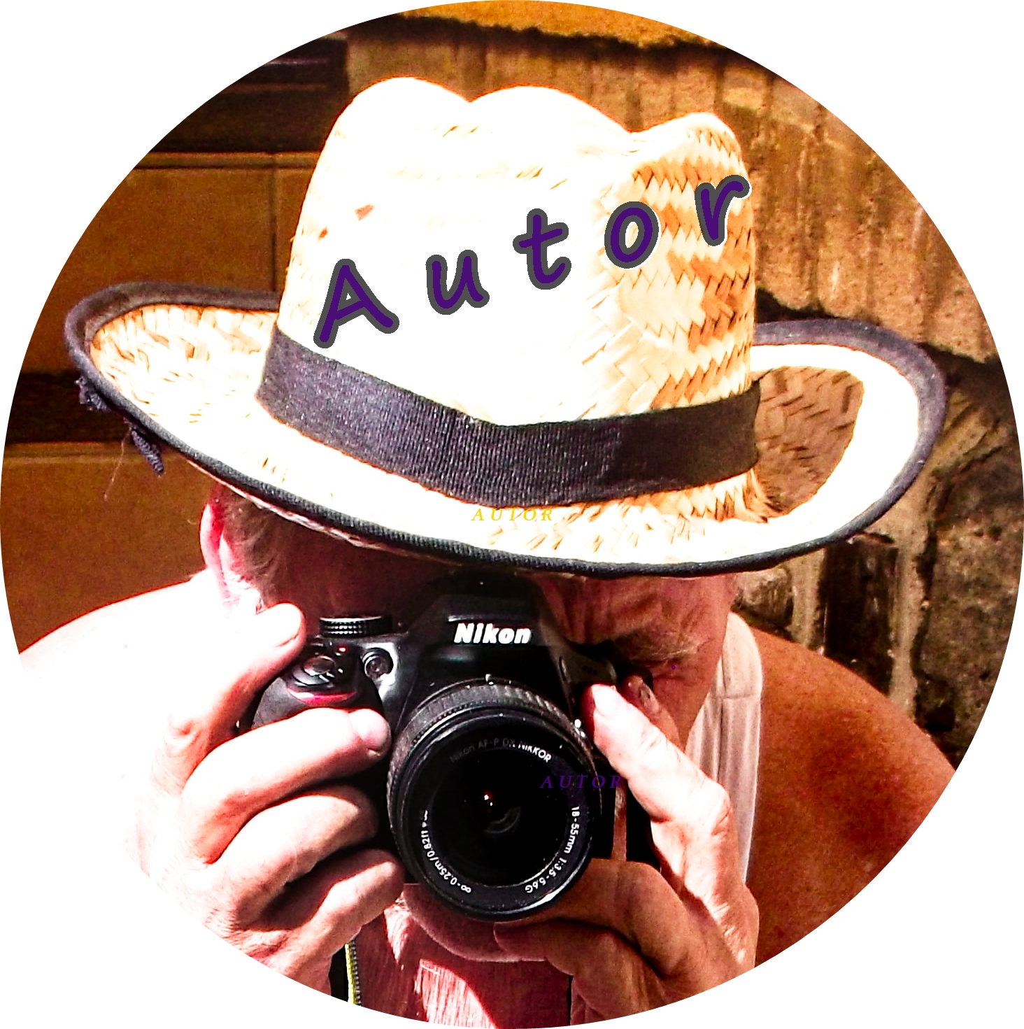 Vinotéka Dolní Břežany foto 3