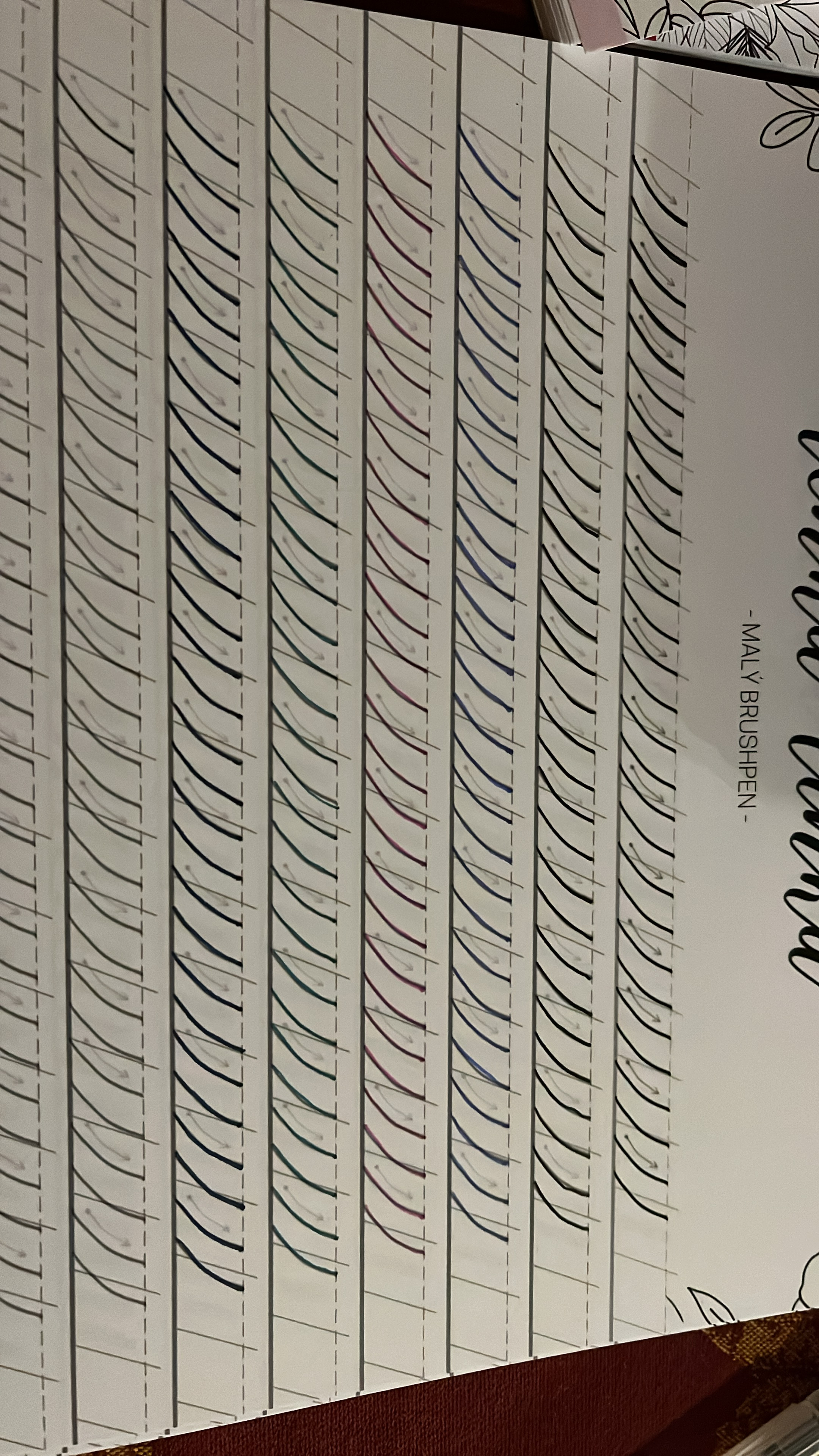 Kaligrafie Markéta Šímová - Simaco Art & Design s.r.o. foto 5