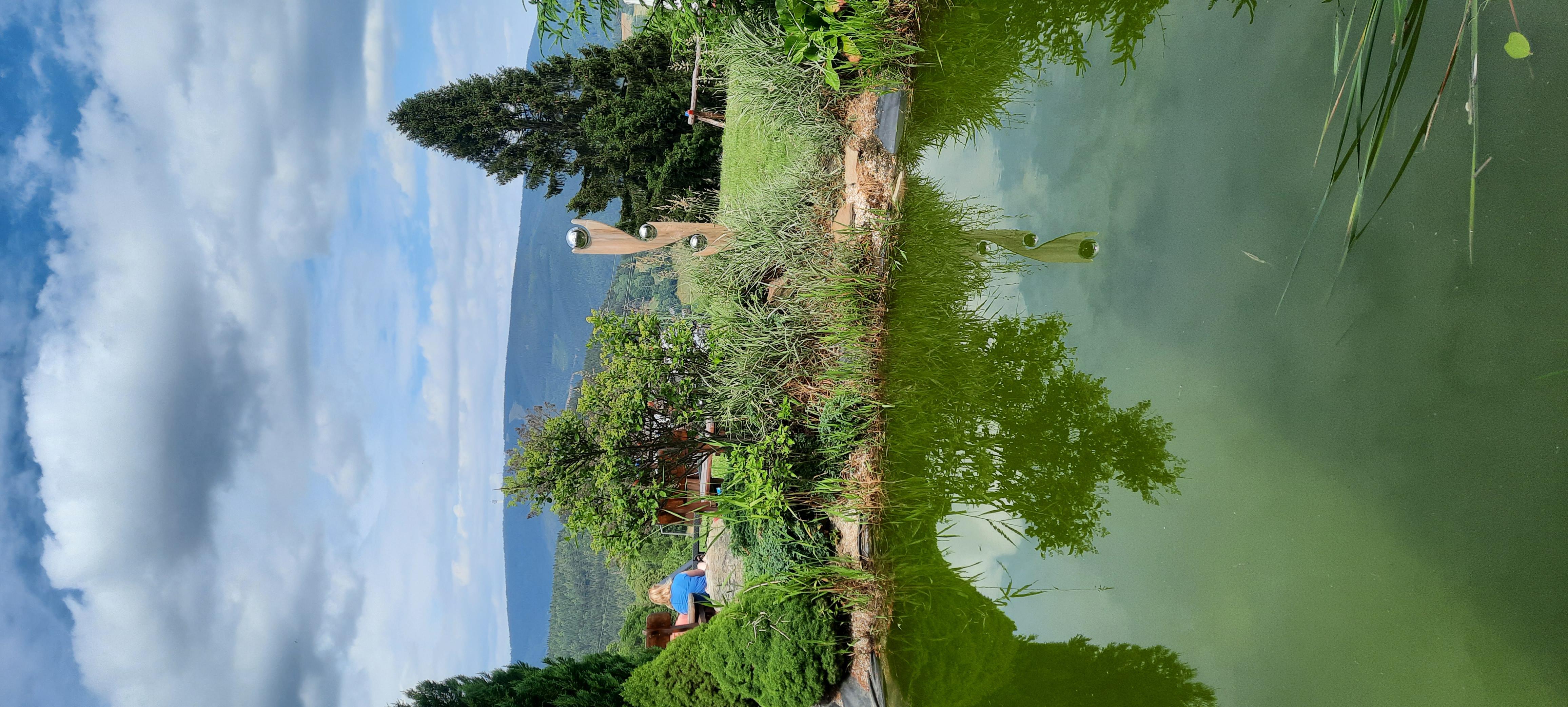 Hotel Bellevue foto 4