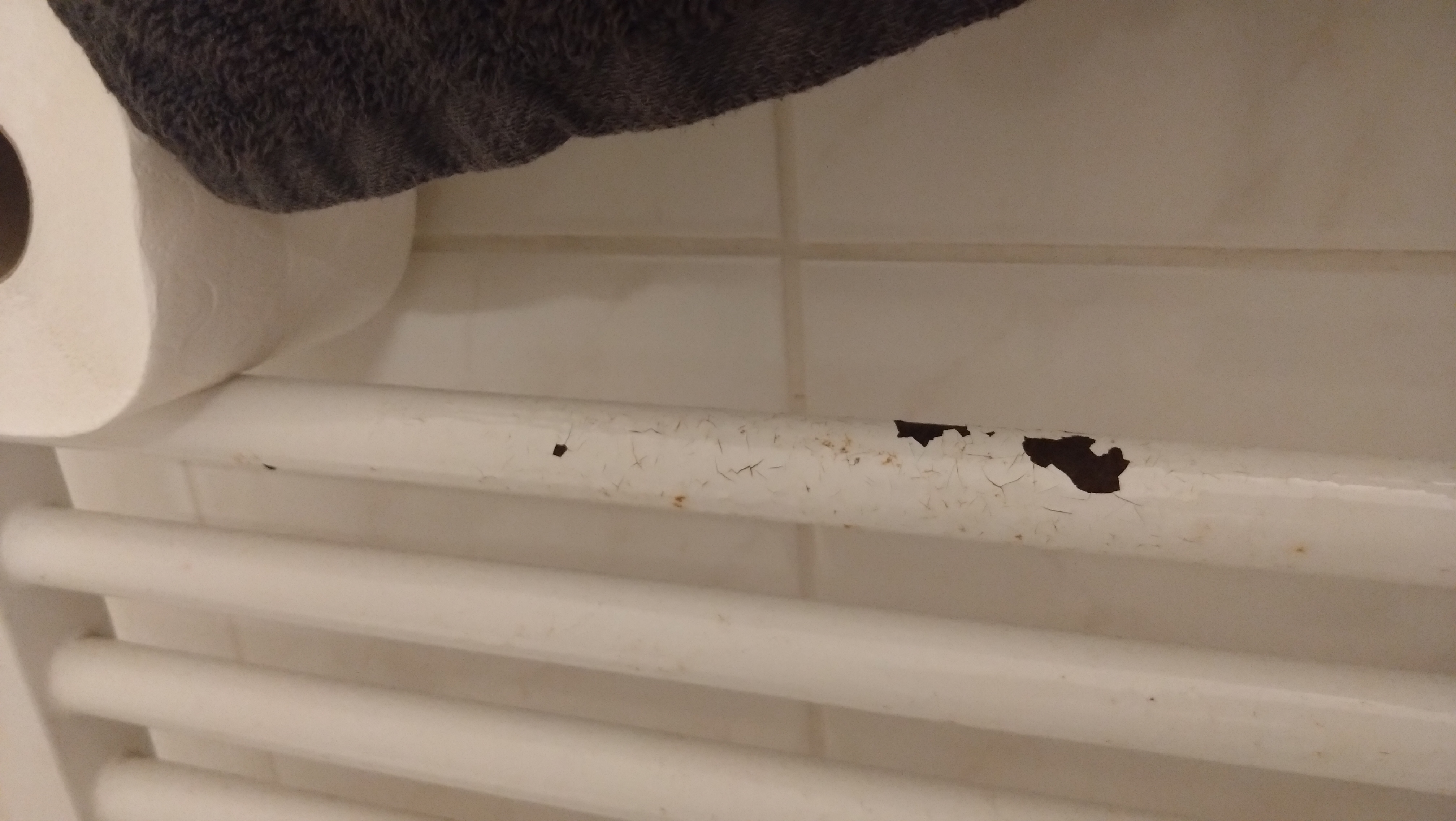 Ubytování - Penzion Navara foto 5