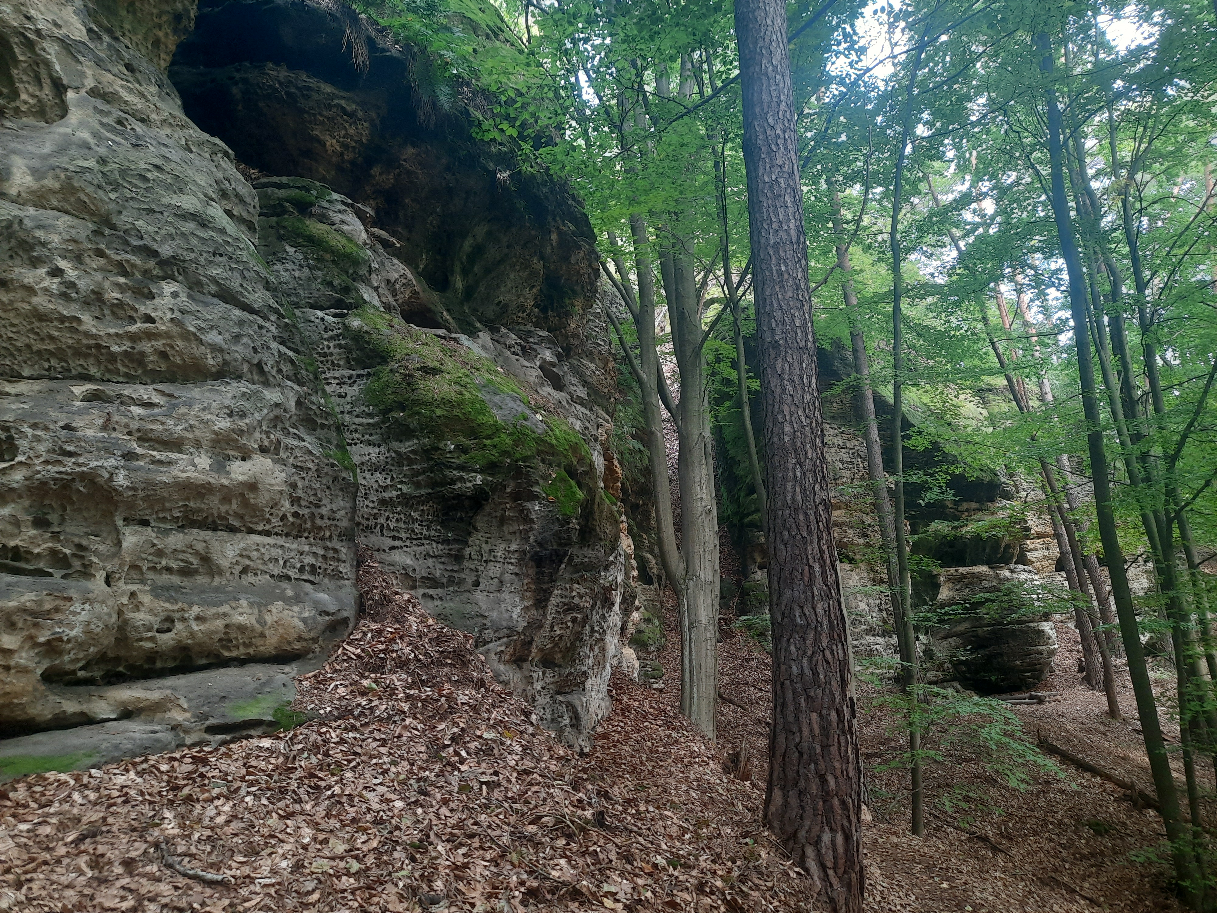 Kokořínské stezky z.s. foto 4